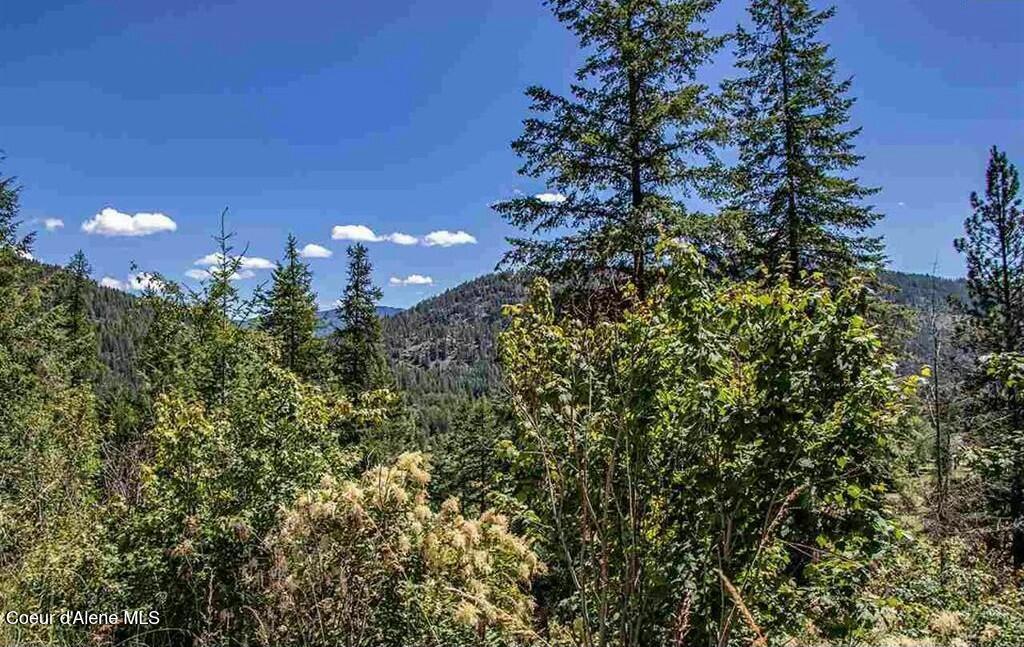 NNA Lower Pack River  Lot 14 Rd, Sandpoint, Idaho image 3