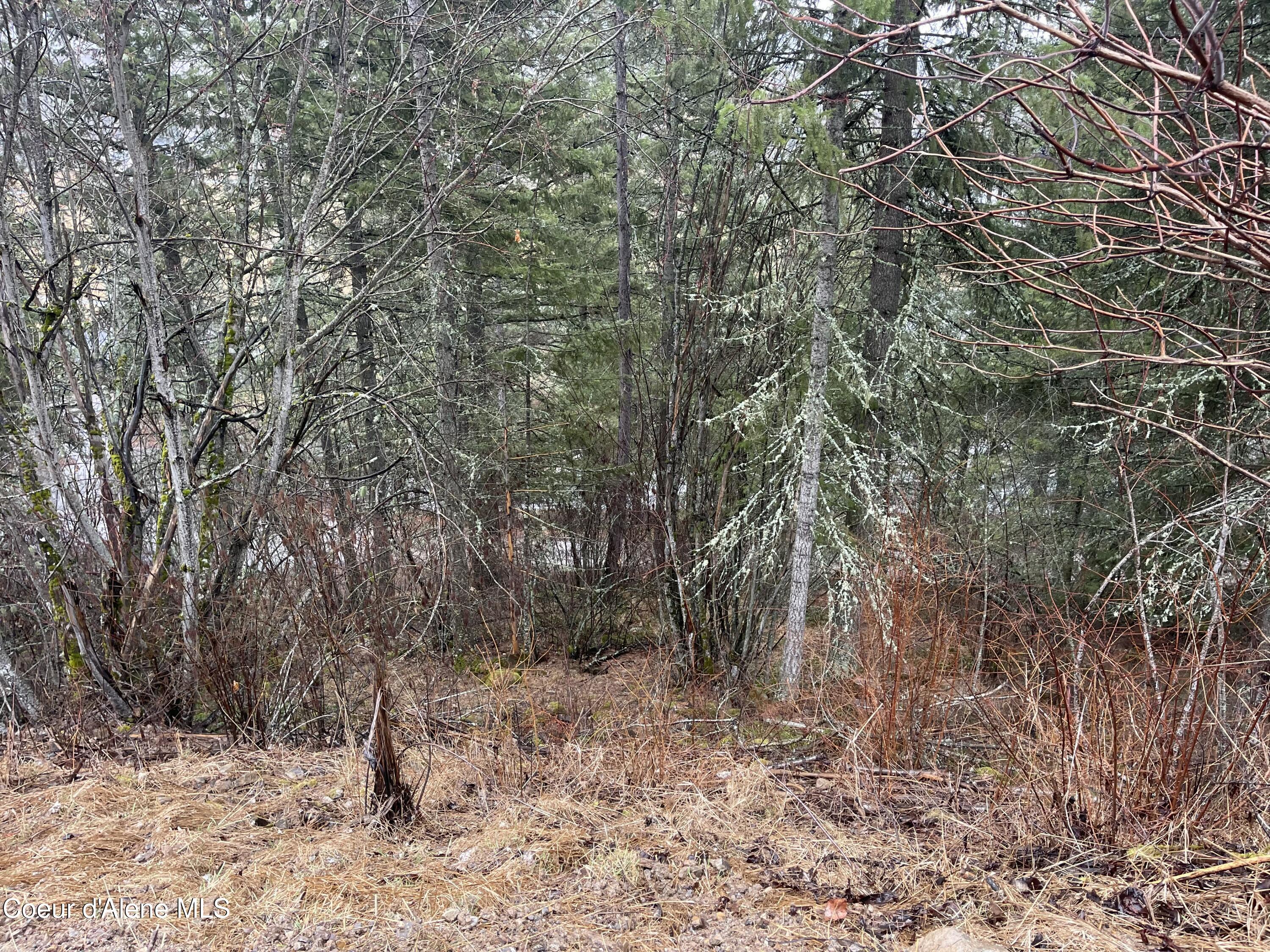 NNA Lower Pack River  Lot 14 Rd, Sandpoint, Idaho image 14
