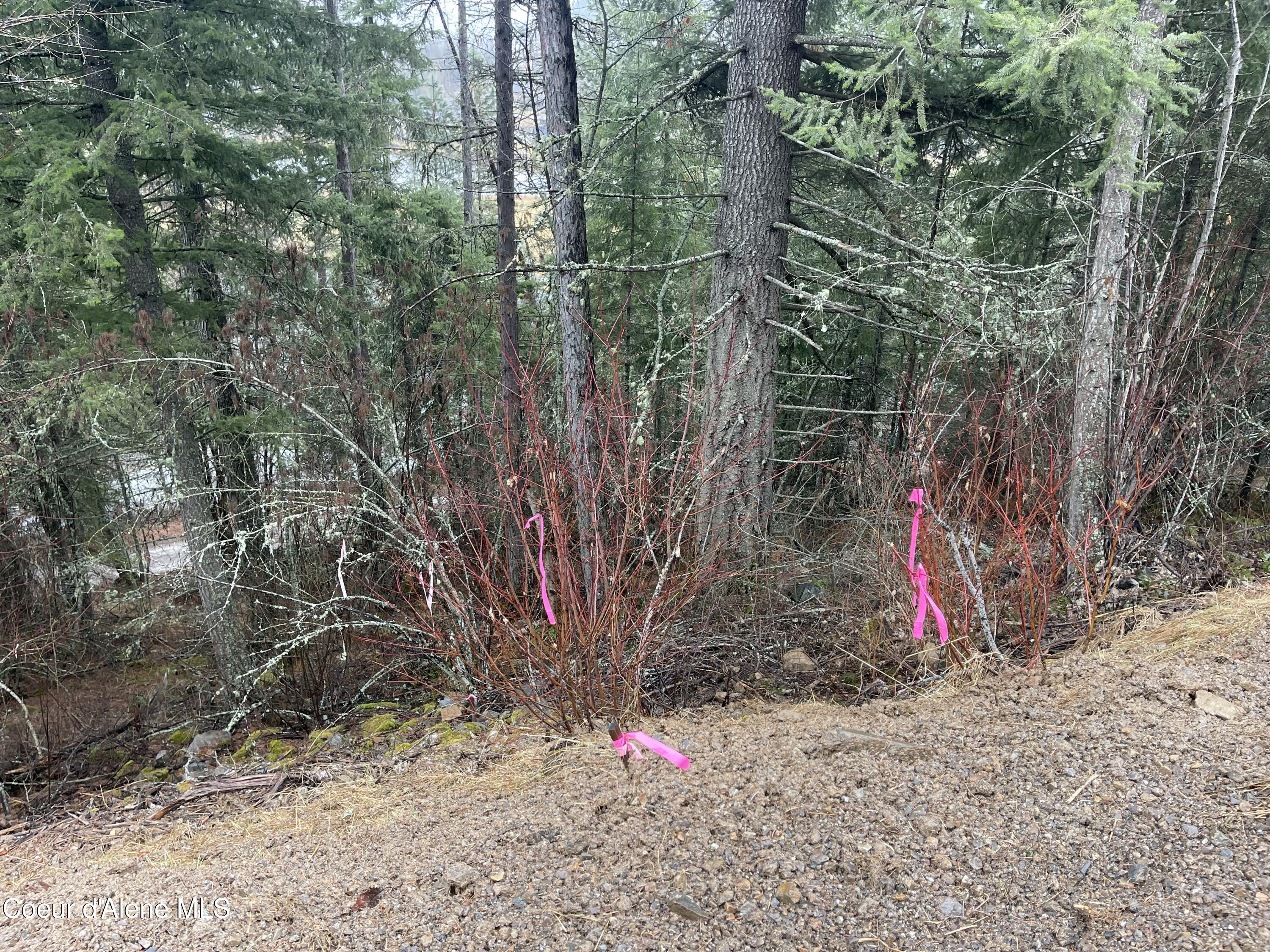 NNA Lower Pack River  Lot 14 Rd, Sandpoint, Idaho image 18