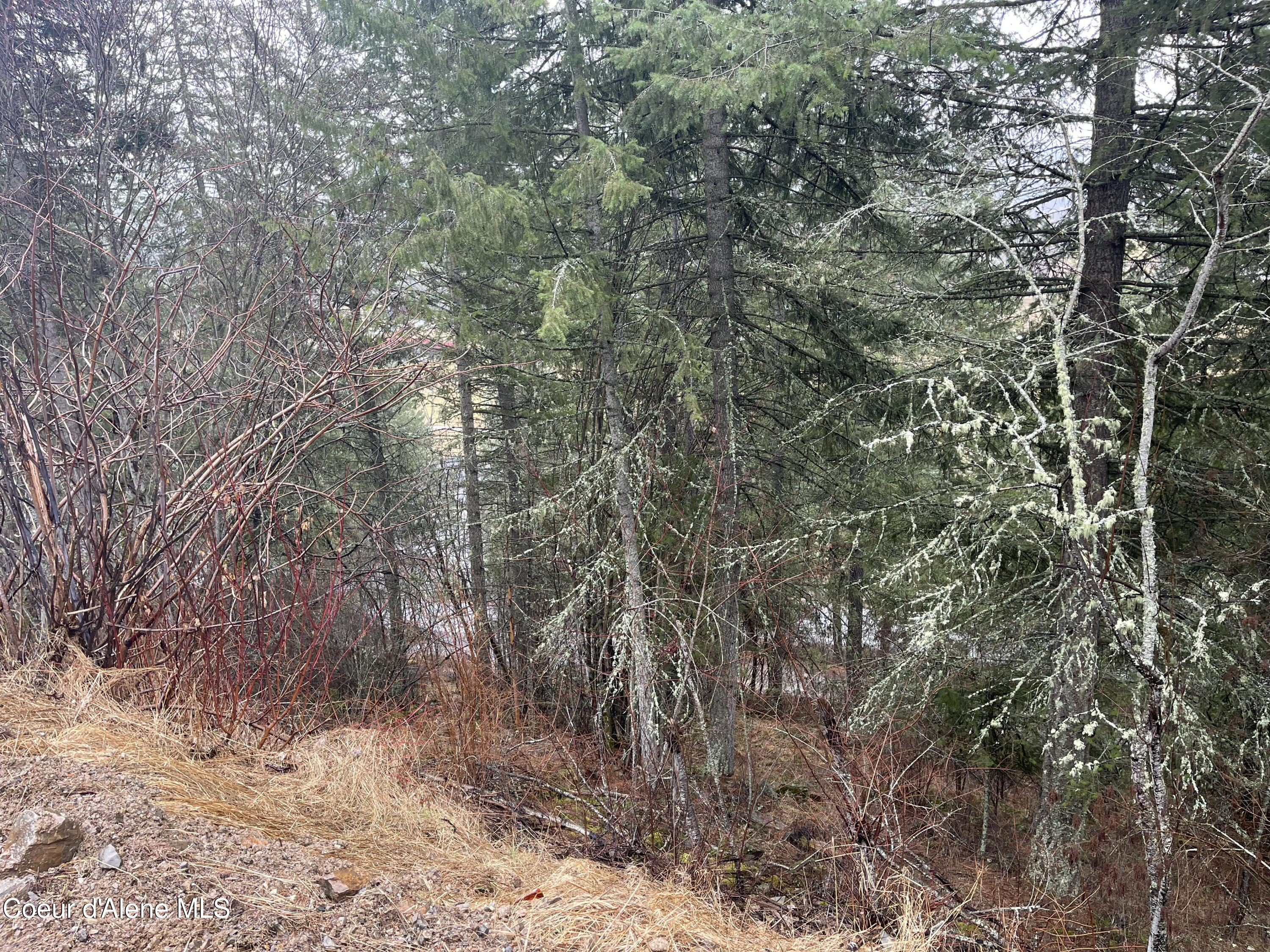 NNA Lower Pack River  Lot 14 Rd, Sandpoint, Idaho image 15