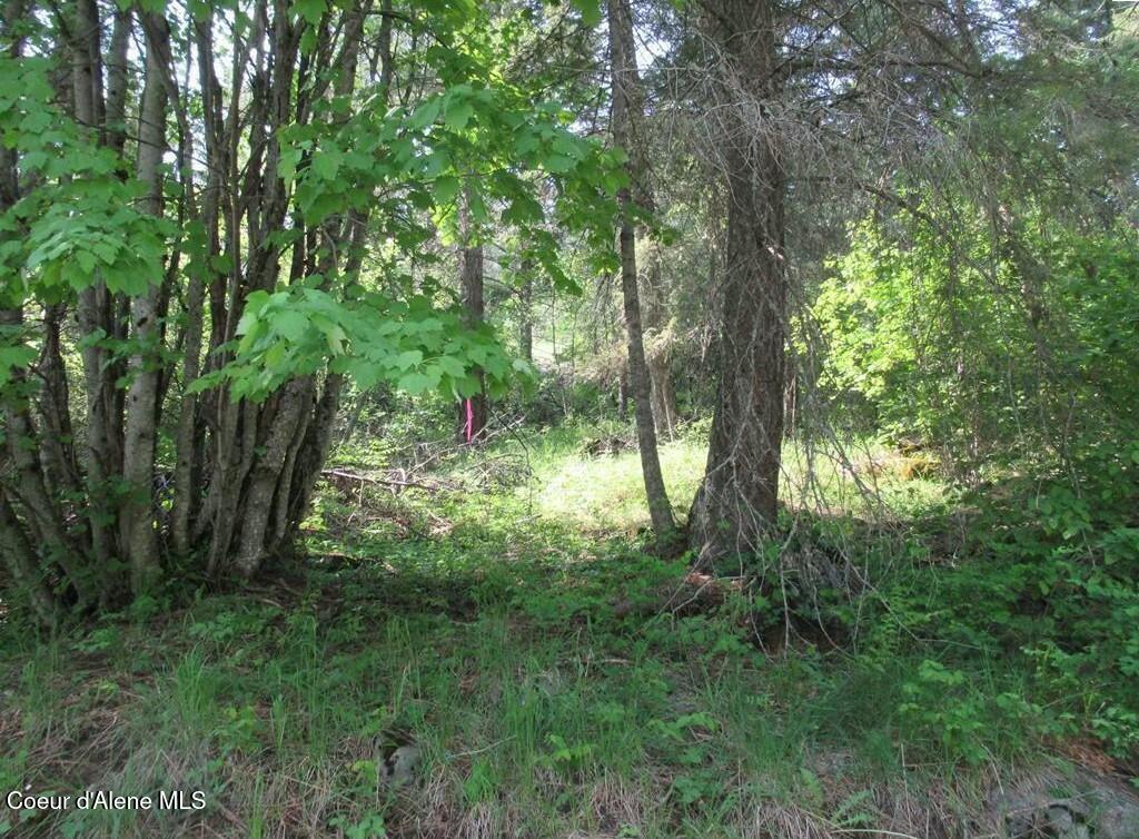 NNA Lower Pack River  Lot 14 Rd, Sandpoint, Idaho image 2
