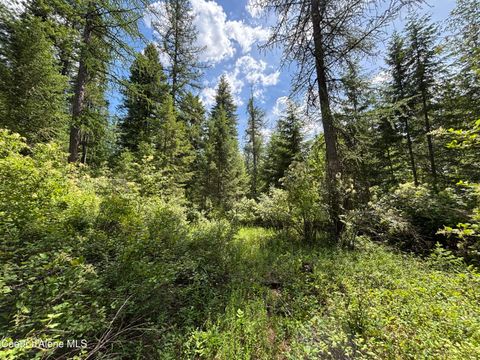 Vacant Land For Sale - NNA No End Road Road<br/> Bonner County, Cocolalla, ID 83813