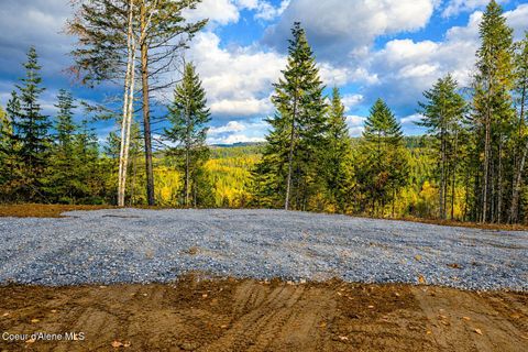 Vacant Land For Sale - PARCEL 1 Crosswhite<br/> Careywood, ID 83809