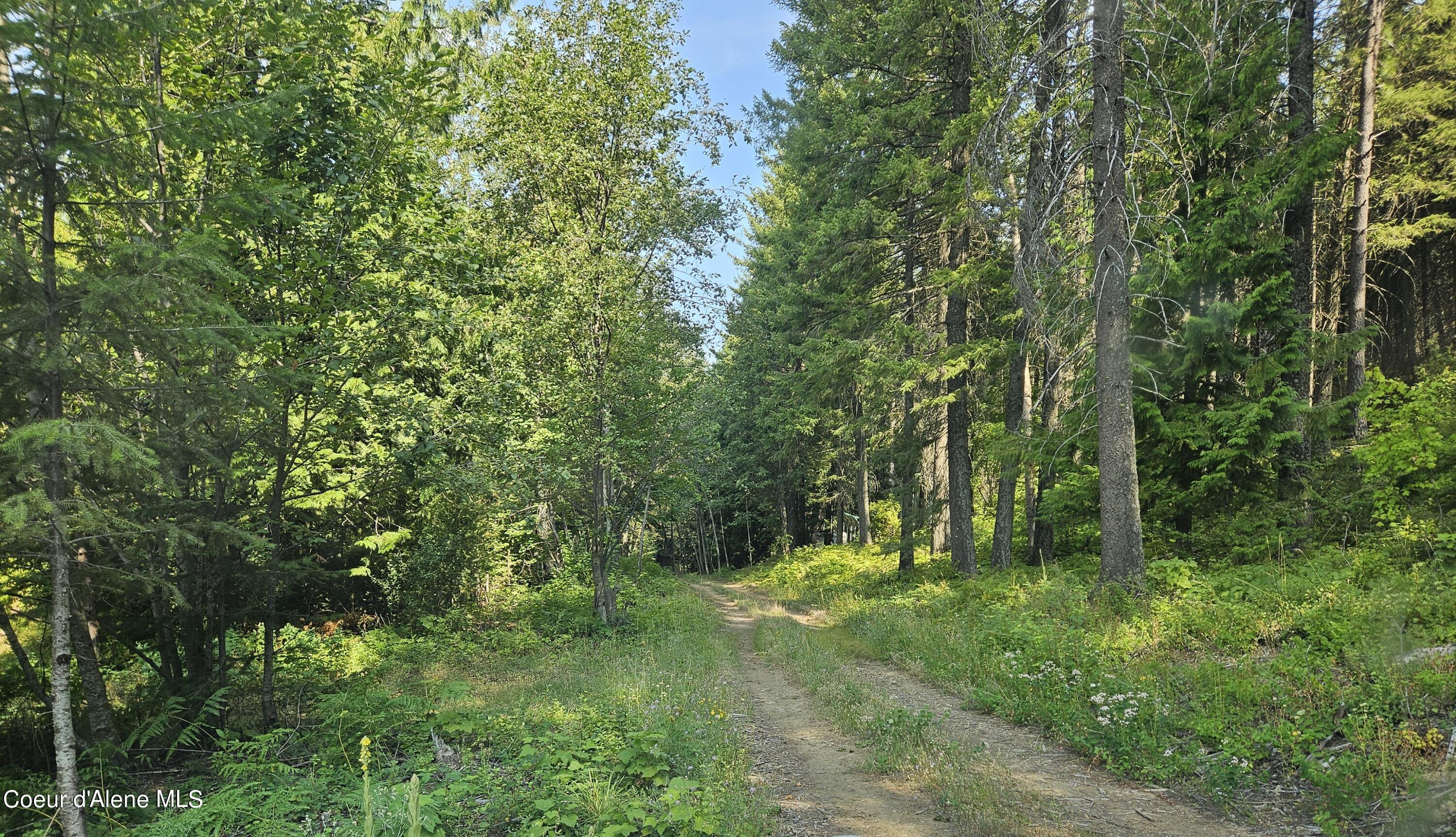 NNA Windham Road, Sagle, Idaho image 2