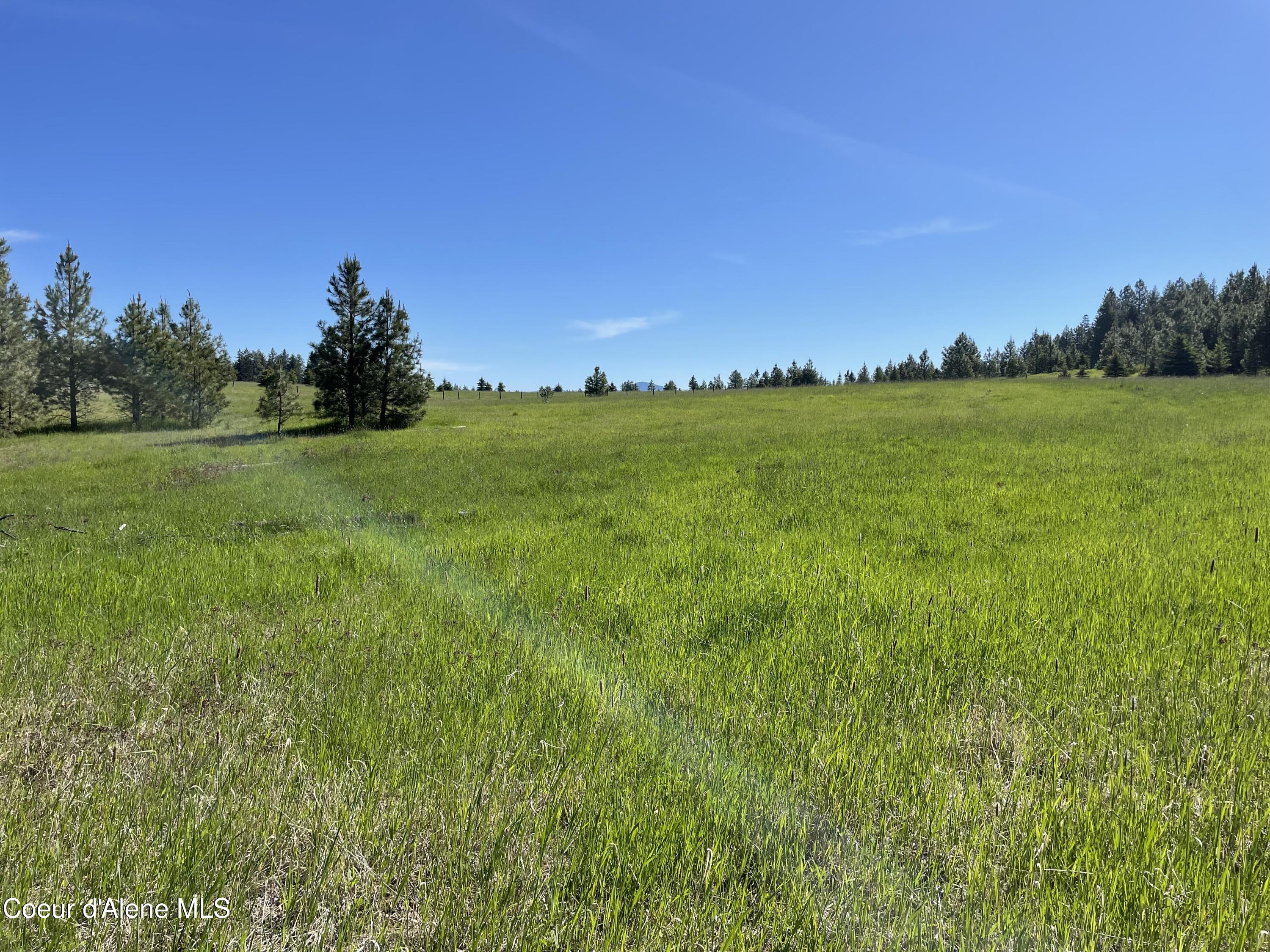 000 N Bill Morris Rd, Plummer, Alaska image 26