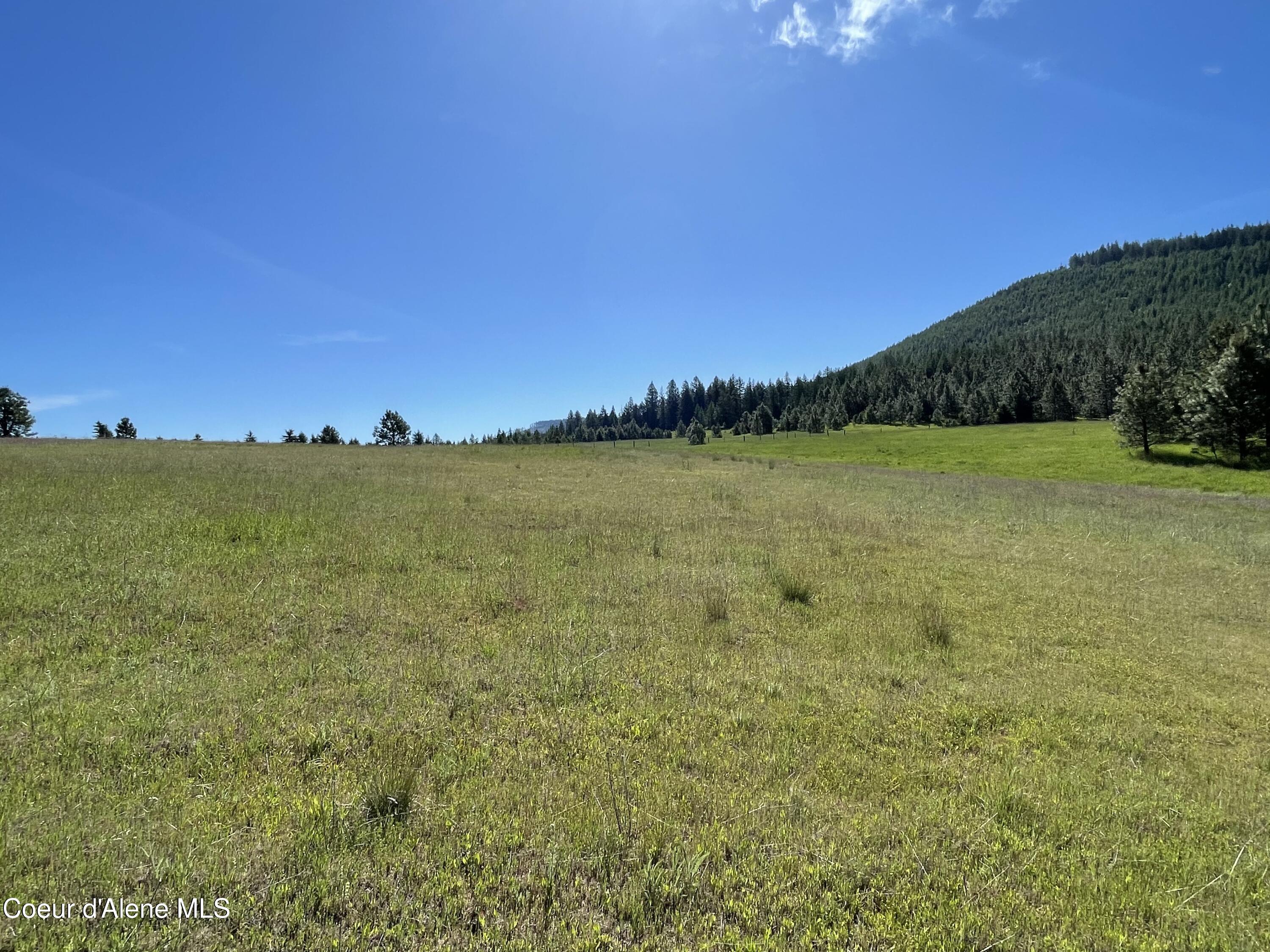 000 N Bill Morris Rd, Plummer, Alaska image 21