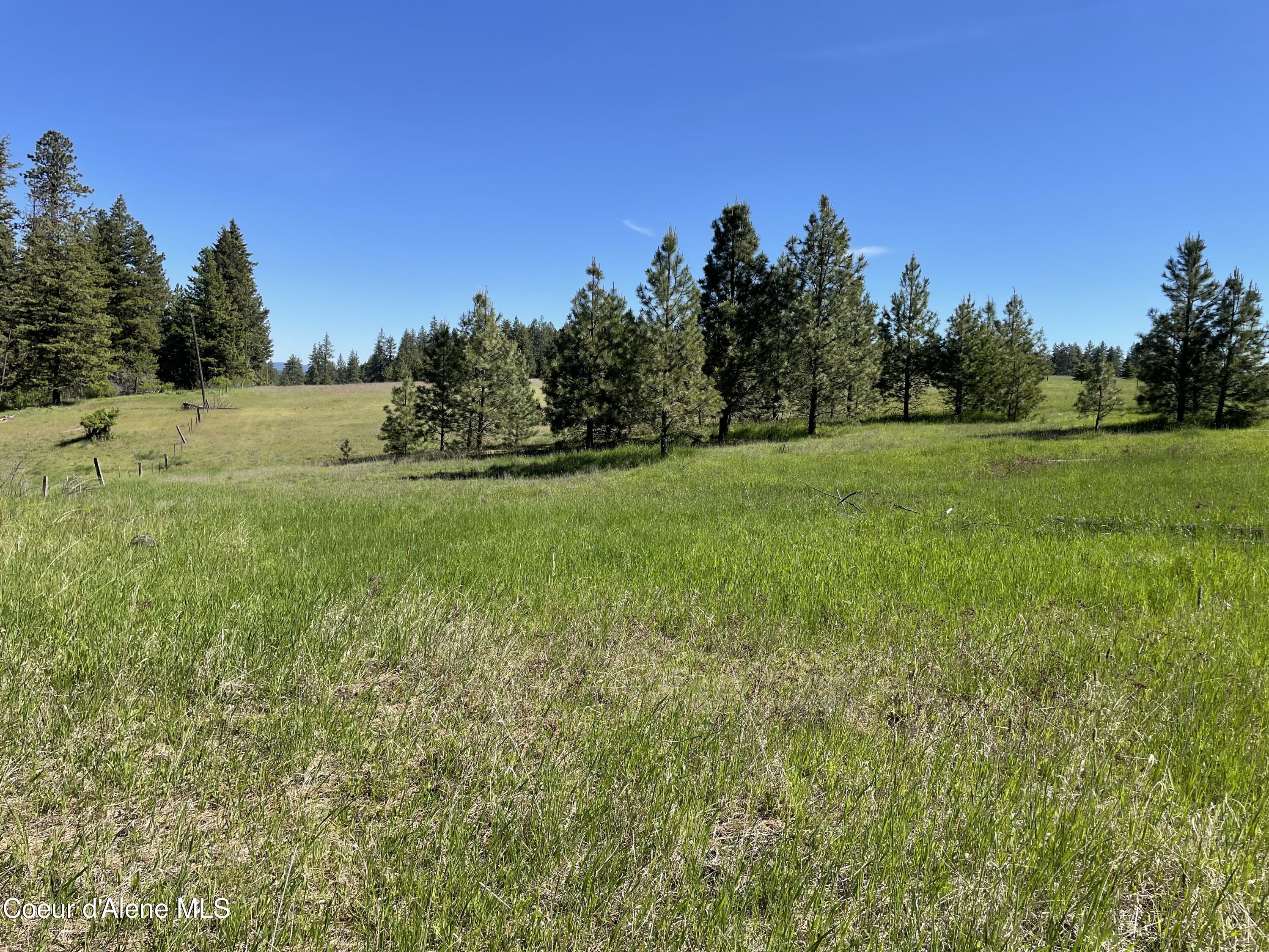 000 N Bill Morris Rd, Plummer, Alaska image 25