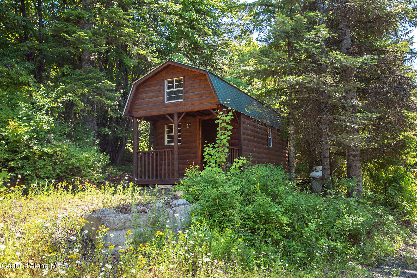 560 White Pine, Fernwood, Idaho image 18