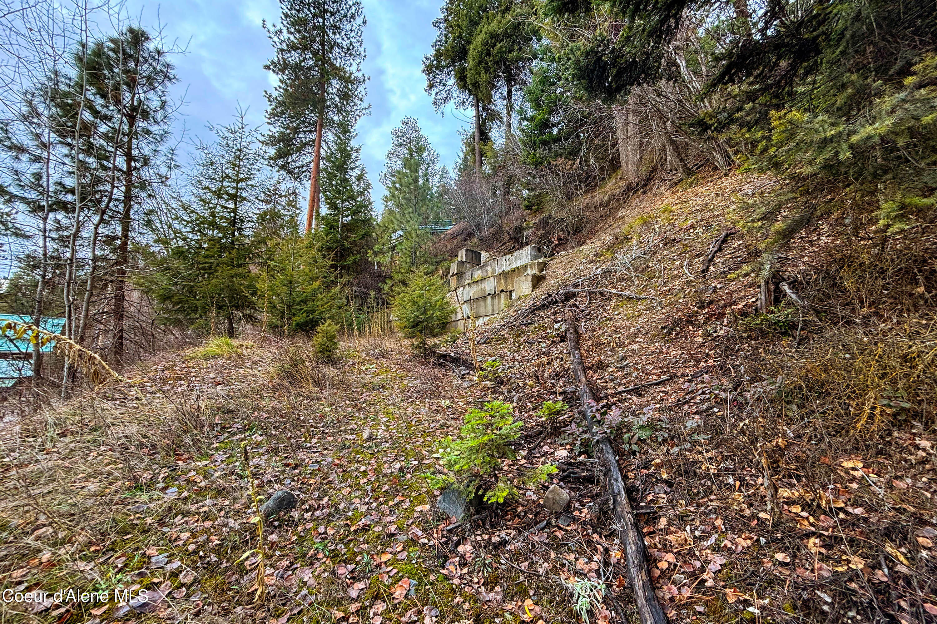 Nna Talache Road, Sagle, Idaho image 15