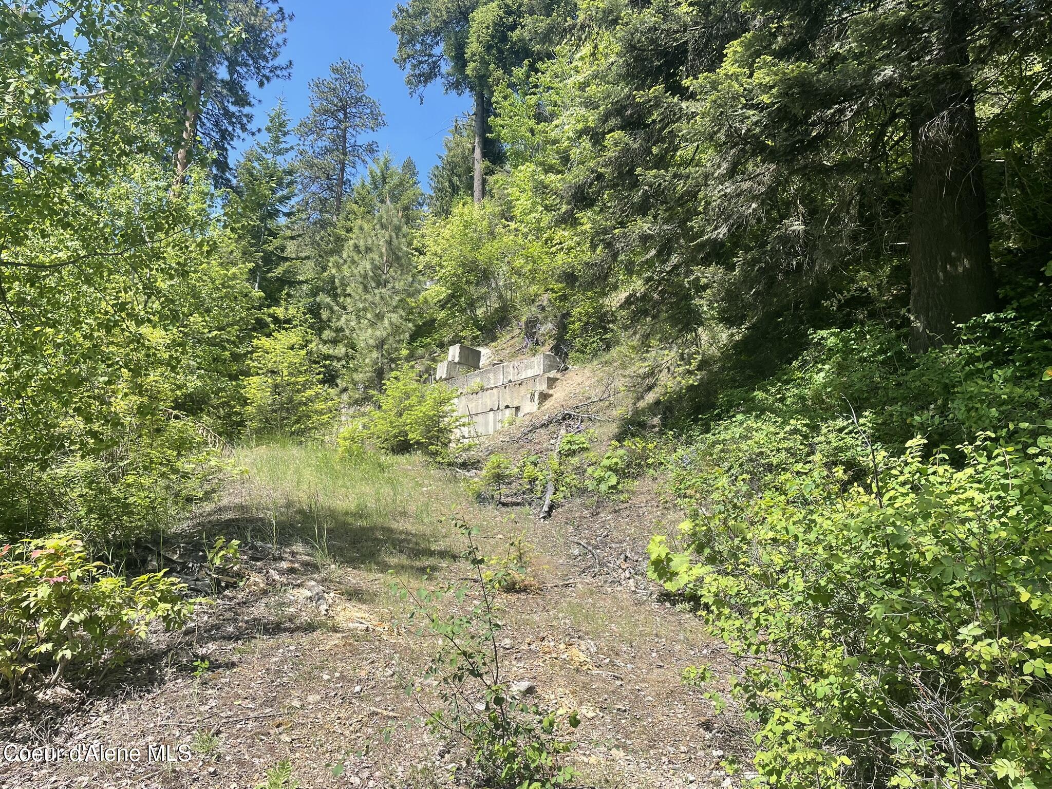 Nna Talache Road Road, Sagle, Idaho image 3