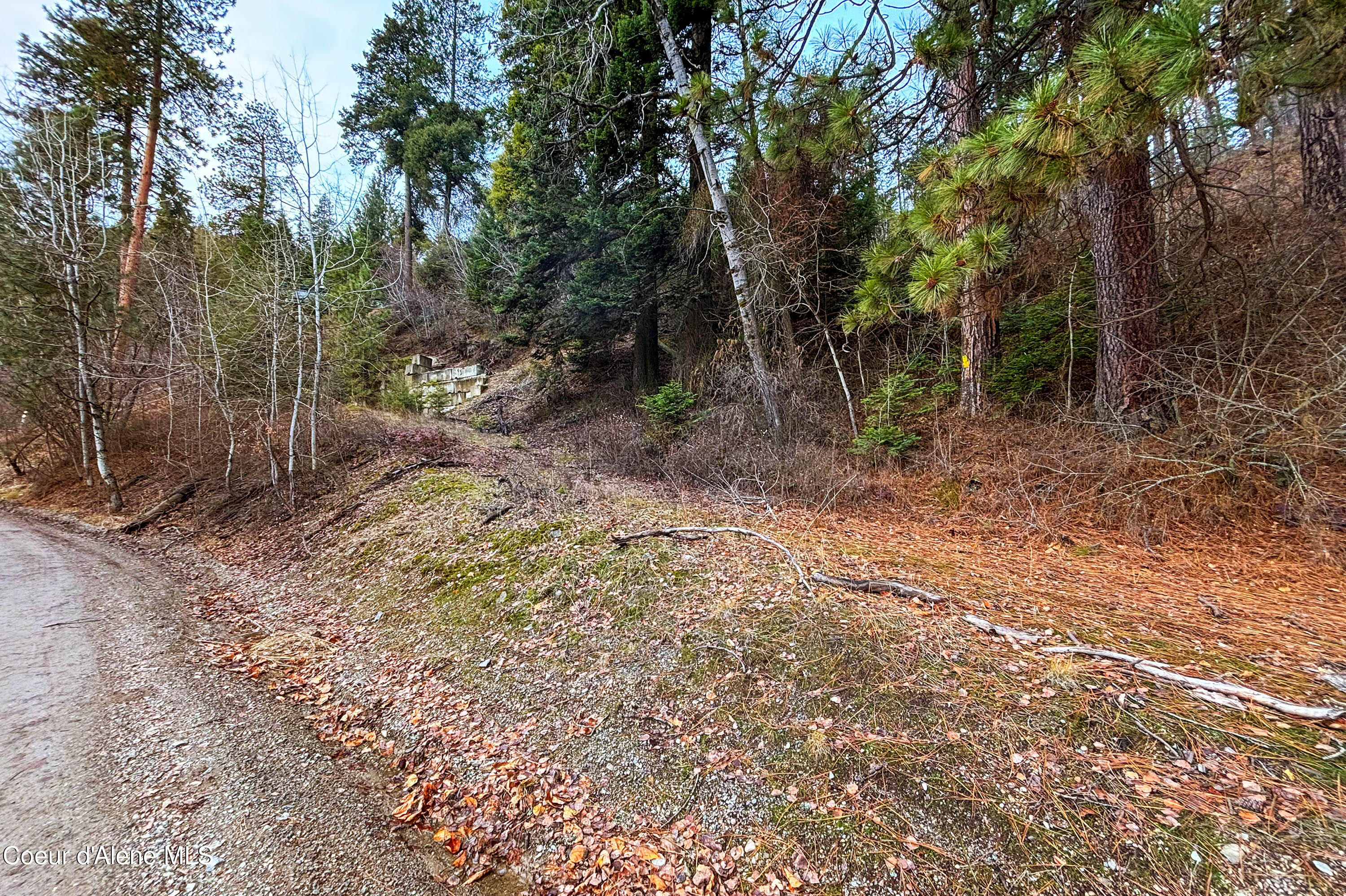 Nna Talache Road, Sagle, Idaho image 14