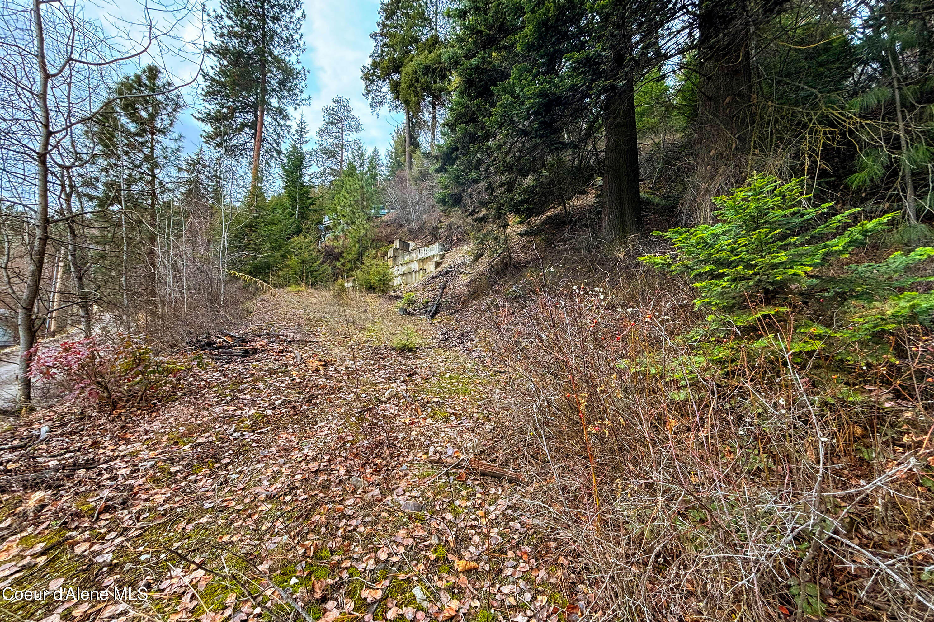 Nna Talache Road, Sagle, Idaho image 16