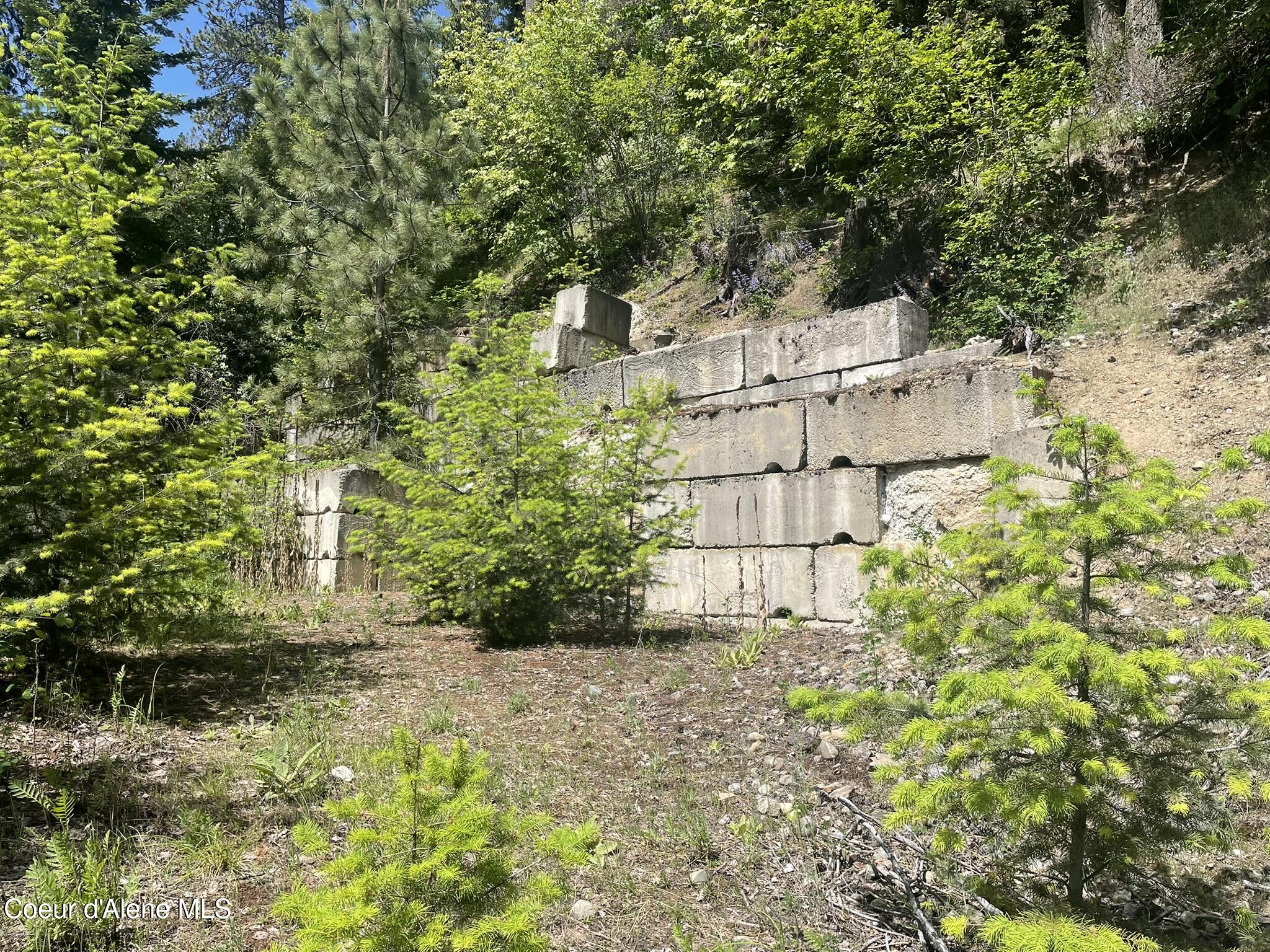 Nna Talache Road Road, Sagle, Idaho image 4