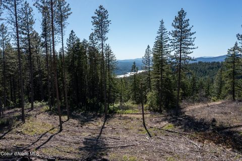  in Priest River ID Parcel 1 Gold Cup Rd.jpg