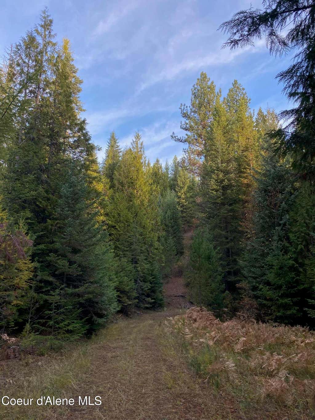 Photo of Lots 2 &amp; 3 Flat Creek Creek, St. Maries, ID 83861 (MLS # 26-7486)