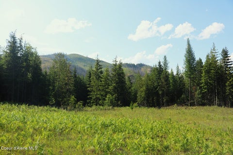 Vacant Land For Sale - NKA Slippery Slope<br/> Priest River, ID 83856