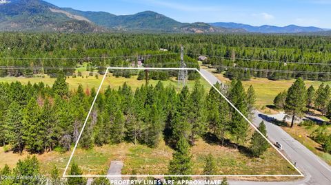 Vacant Land For Sale - 43XX Flatwoods Loop<br/> Rathdrum, ID 83858