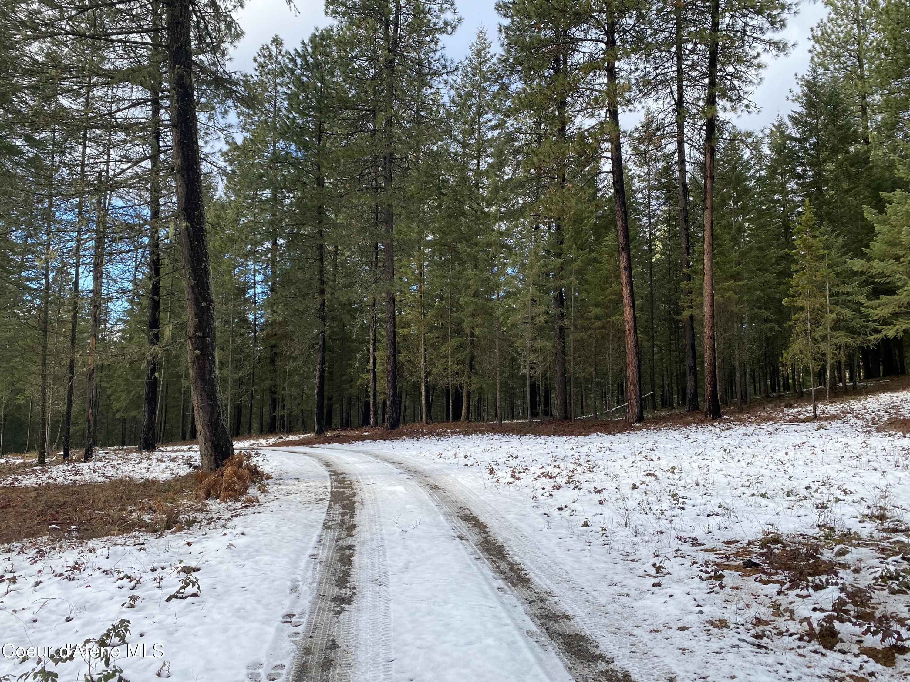 NNA Gold Mountain Drive, Sagle, Texas image 15