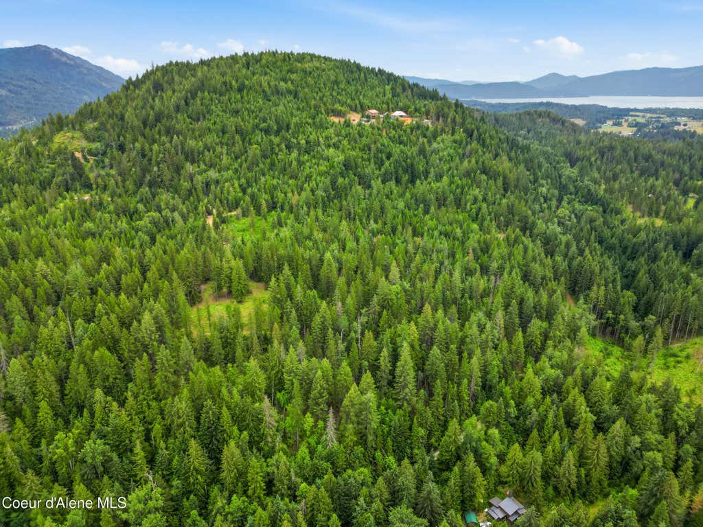 Photo of 217 Whodathunkit Rd, Sandpoint, ID 83864 (MLS # 26-7358)