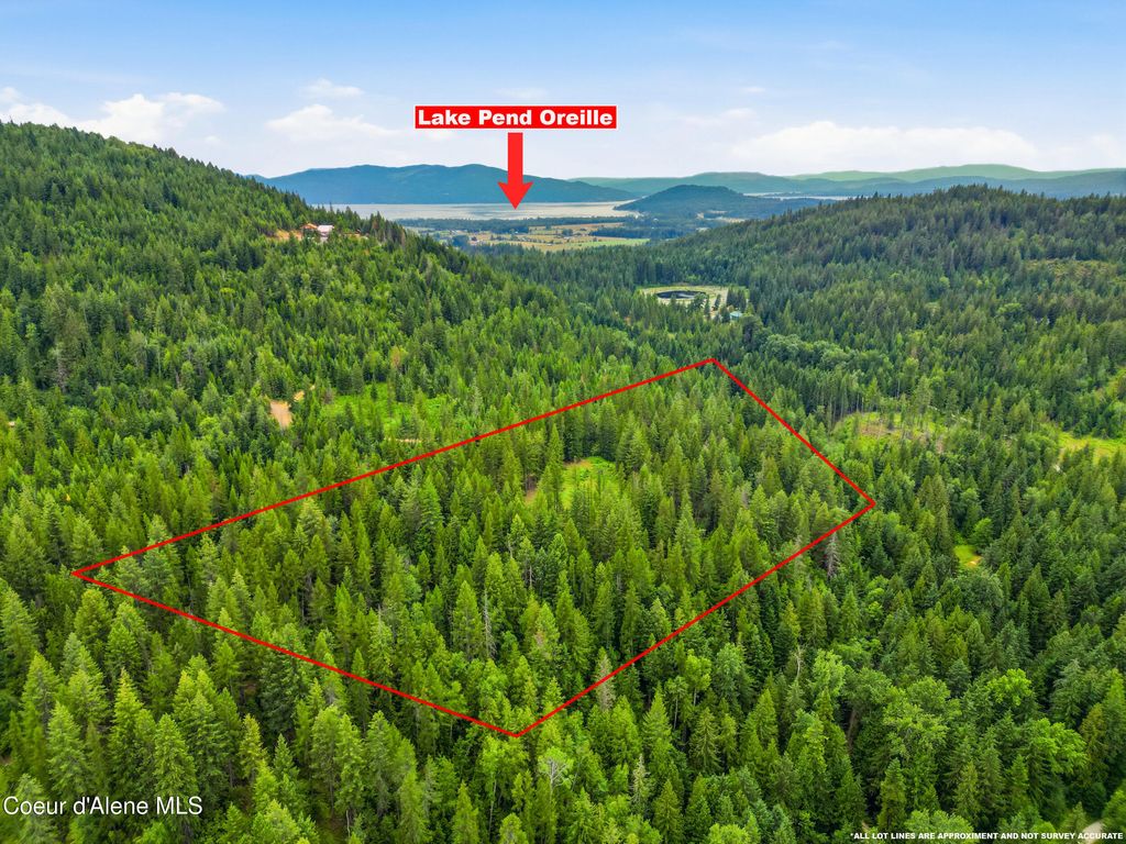 Photo of 217 Whodathunkit Rd, Sandpoint, ID 83864 (MLS # 26-7358)