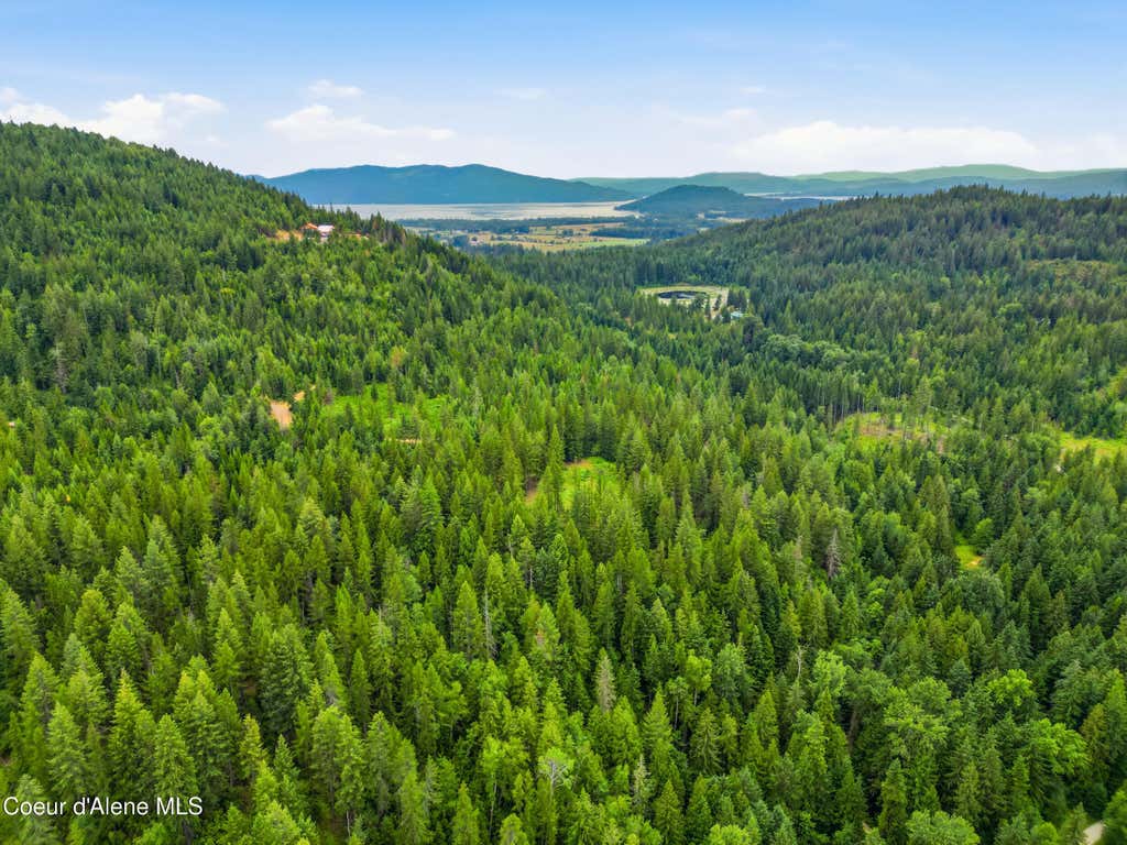 Photo of 217 Whodathunkit Rd, Sandpoint, ID 83864 (MLS # 26-7358)