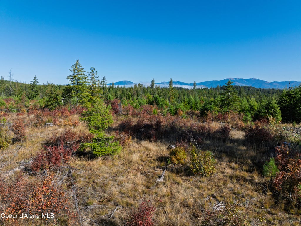 Photo of Tract S Sportsman, St. Maries, ID 83861 (MLS # 26-9546)