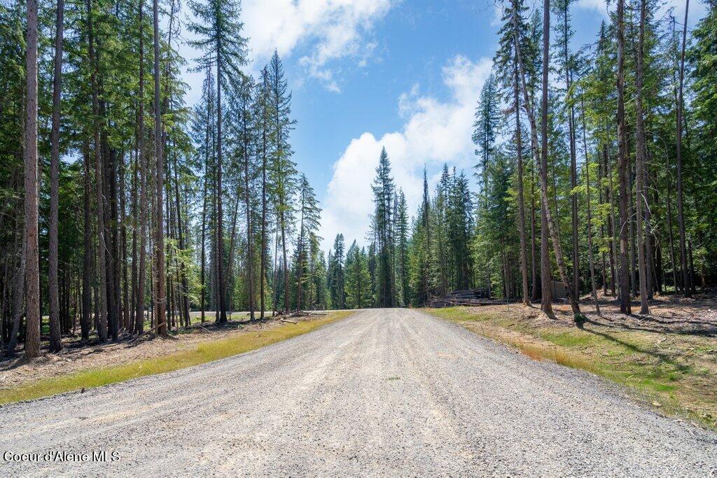 Lot 5 Brown Bear Dr, Nordman, Idaho image 10