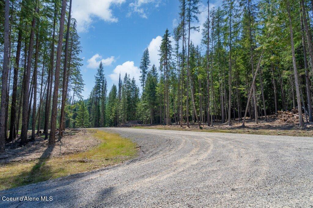 Lot 5 Brown Bear Dr, Nordman, Idaho image 9