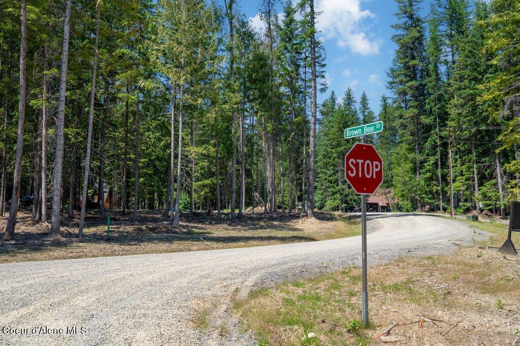 Lot 5 Brown Bear Dr, Nordman, Idaho image 8