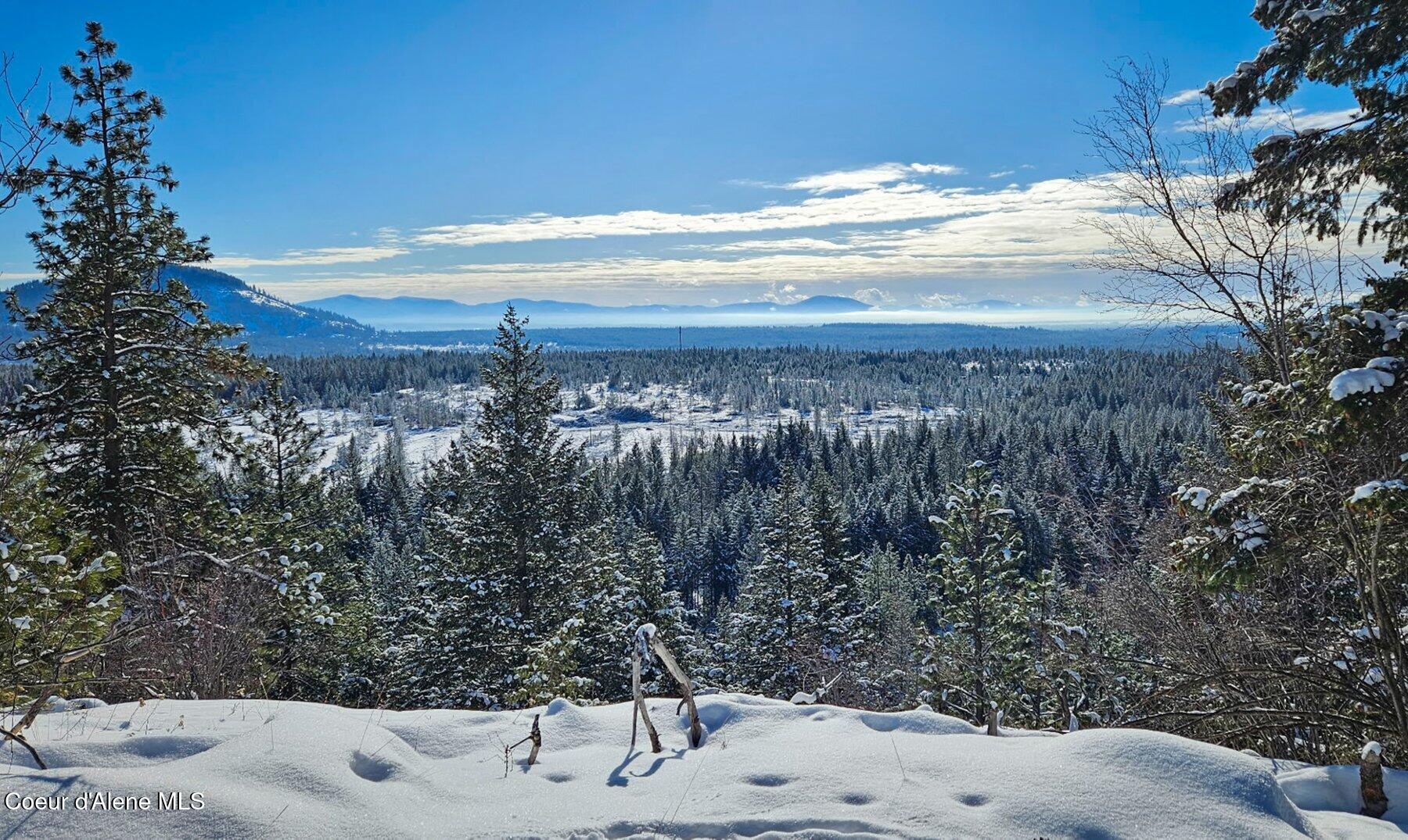 27968 N Timber Ridge Rd #9, Rathdrum, Alaska image 31