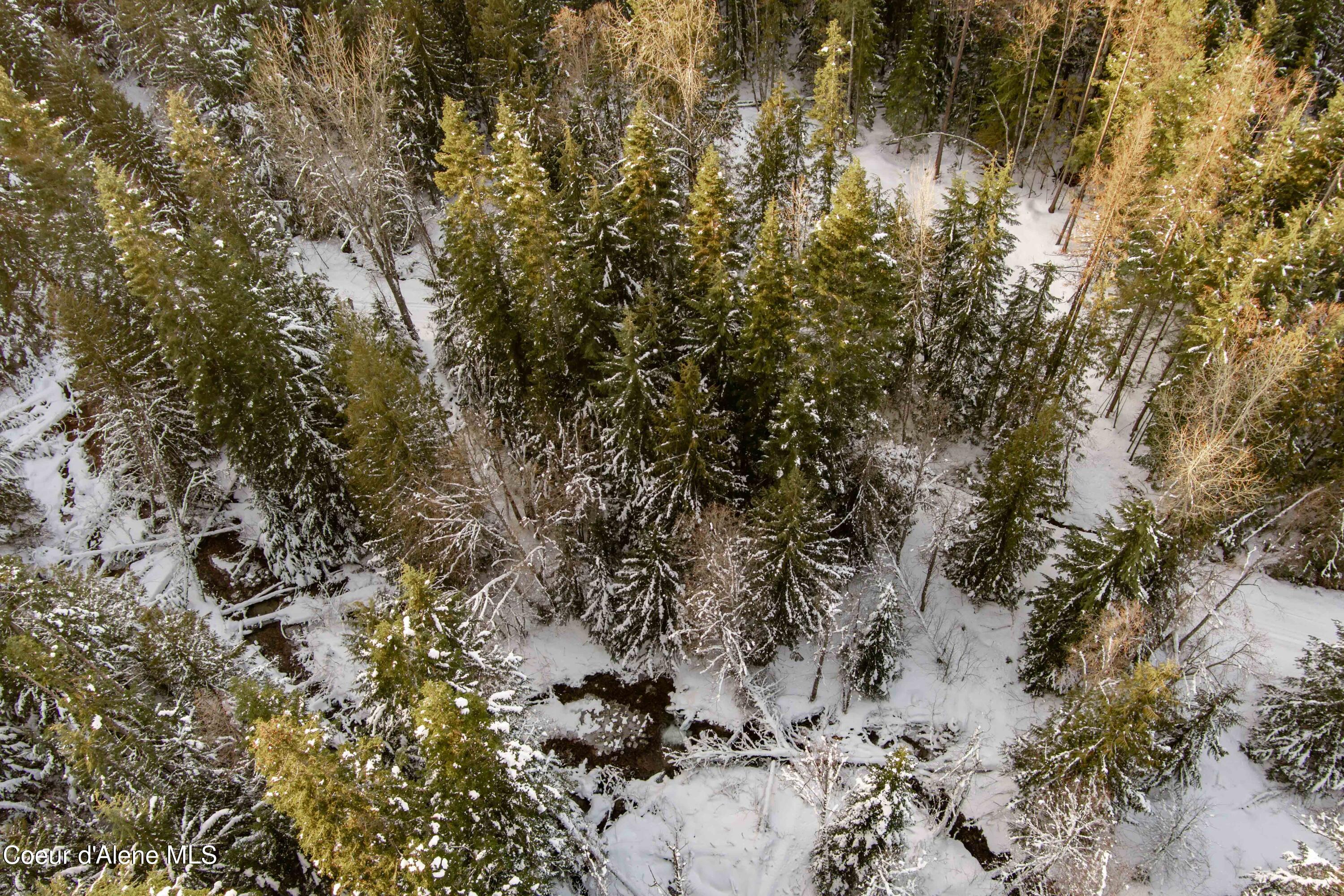 NKA Trapper Creek Spur, Sandpoint, Idaho image 14