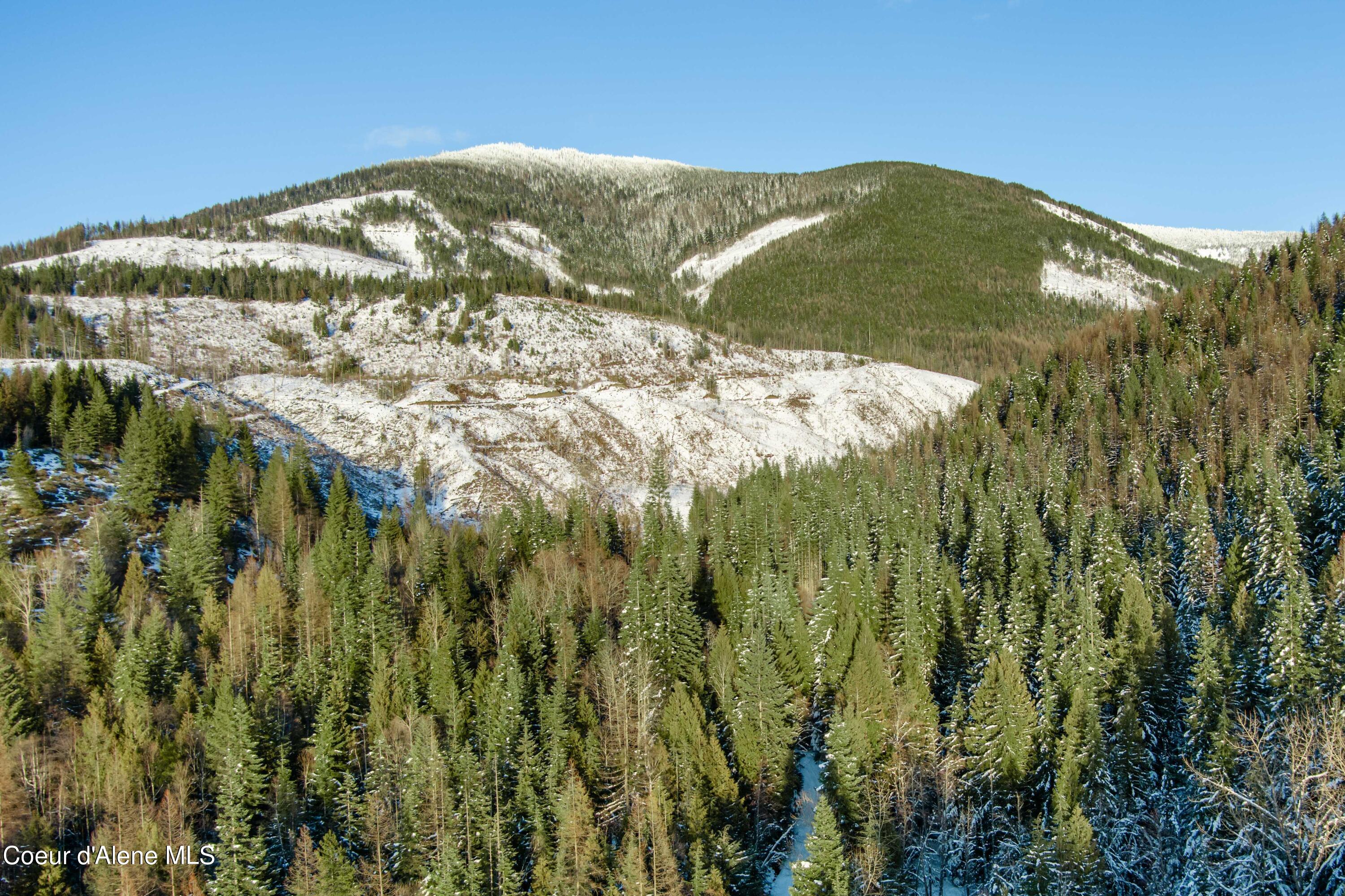 NKA Trapper Creek Spur, Sandpoint, Idaho image 1