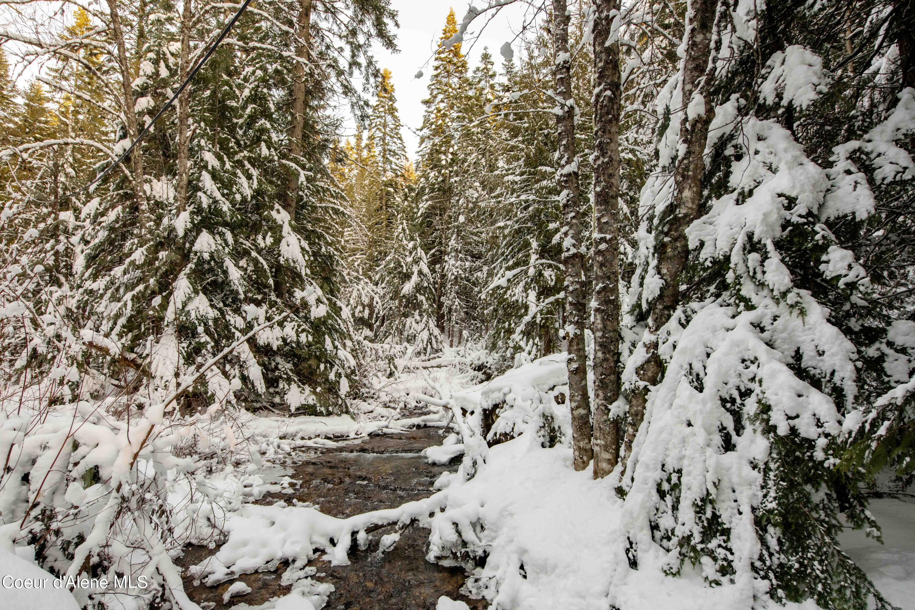 NKA Trapper Creek Spur, Sandpoint, Idaho image 4