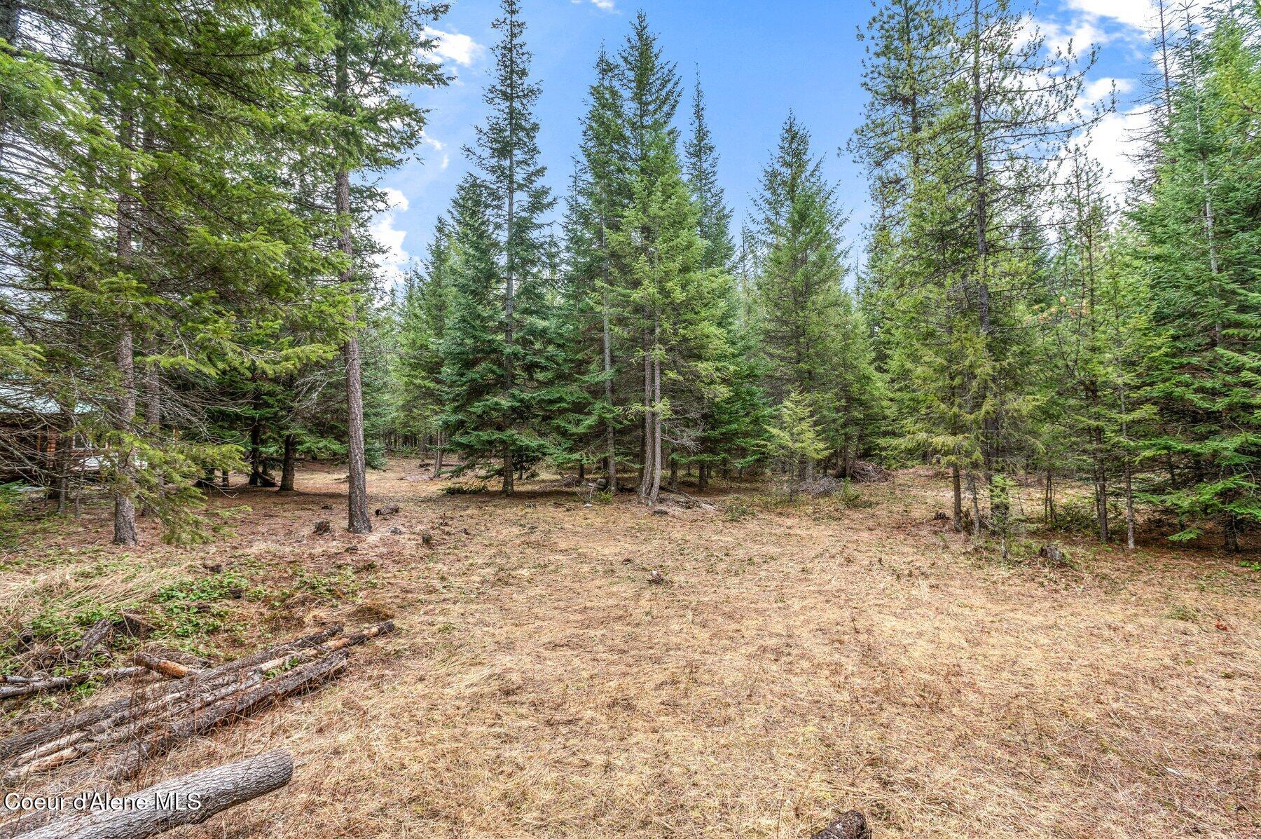 114 S Old Addie Rd, Bonners Ferry, Texas image 35