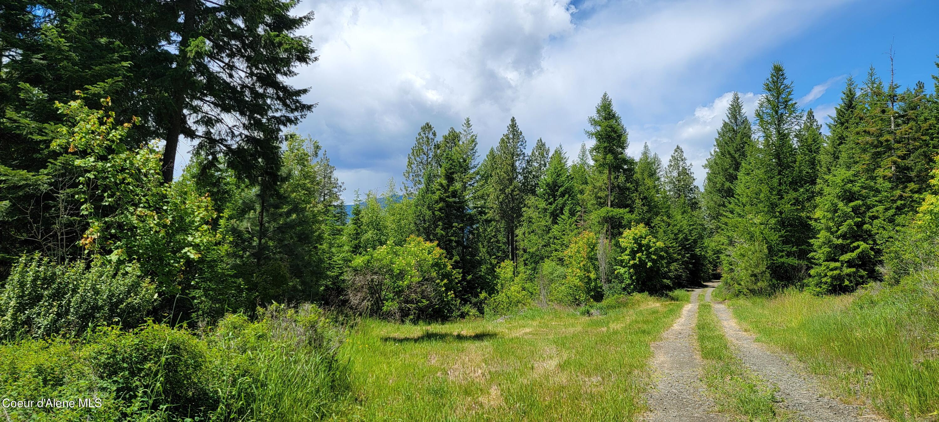 NNA Continental Lane-parcel 3, Bonners Ferry, Idaho image 3