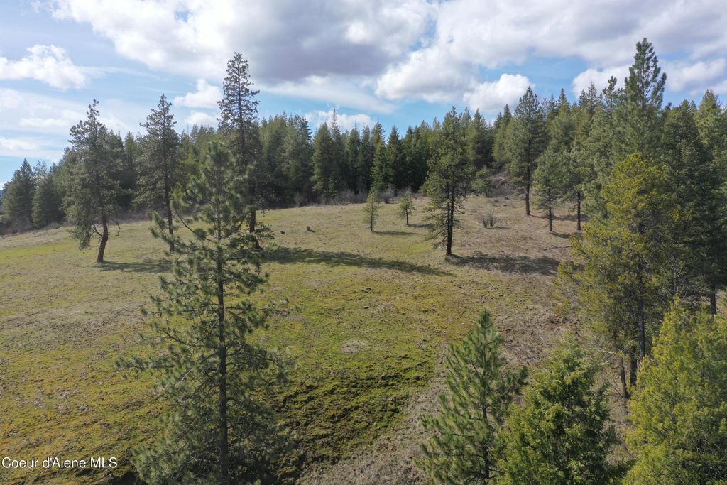Photo of NKA Crosby Rd Rd, St. Maries, ID 83861 (MLS # 26-3087)