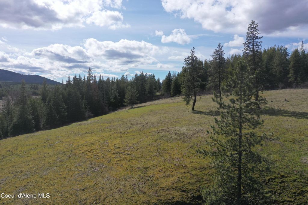 Photo of NKA Crosby Rd Rd, St. Maries, ID 83861 (MLS # 26-3087)