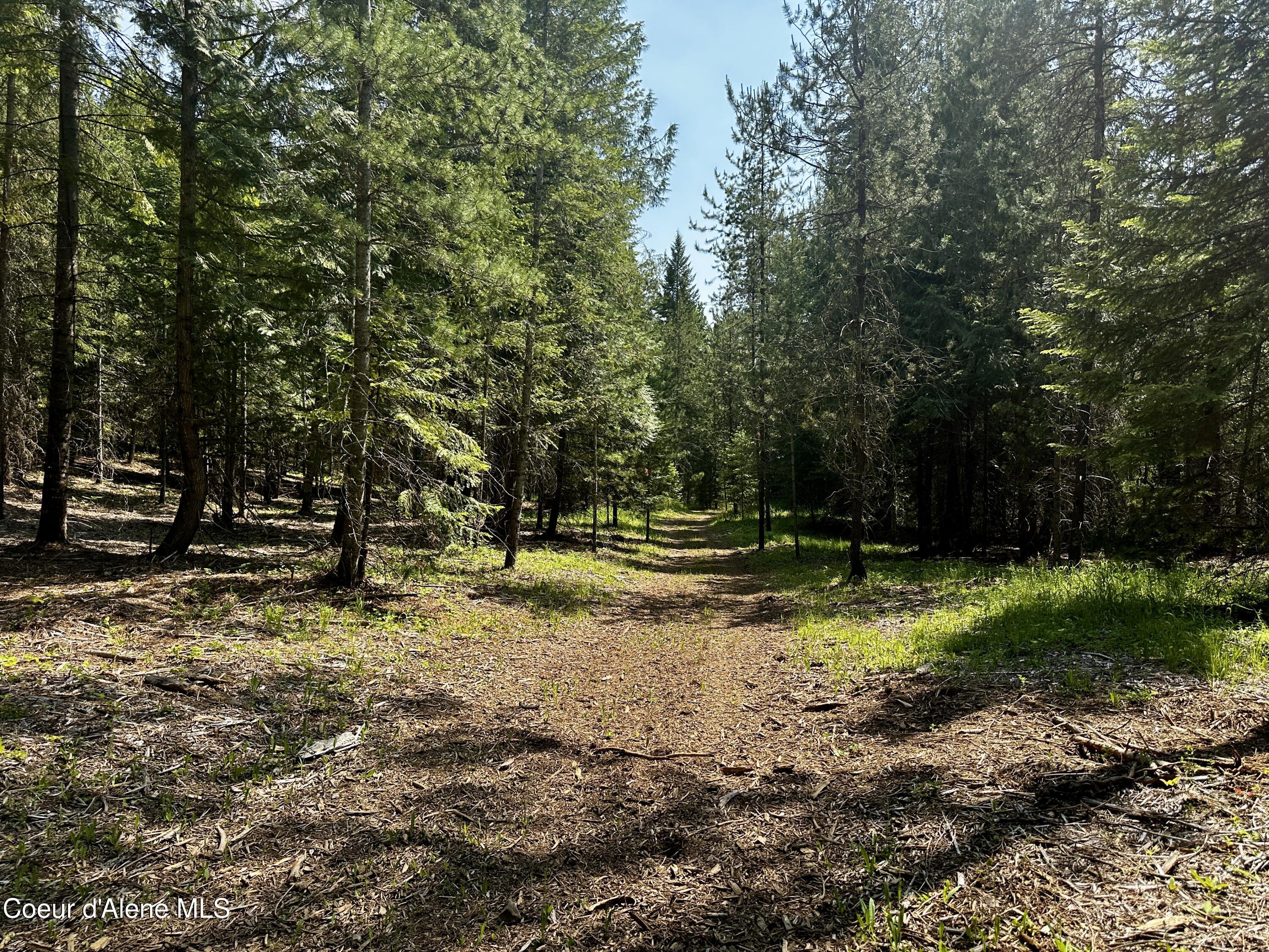 TBD Kreiger Creek Rd Lot 1, Careywood, Alaska image 5