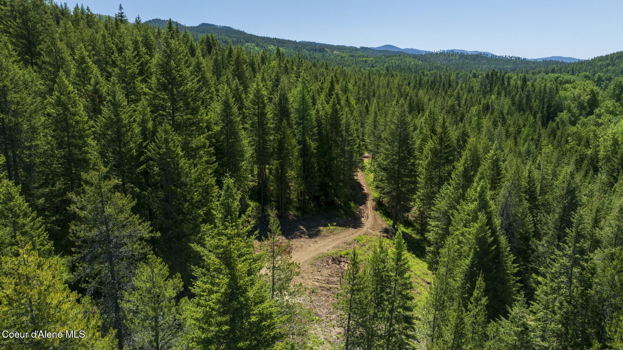 TBD Kreiger Creek Rd Lot 1, Careywood, Alaska image 2