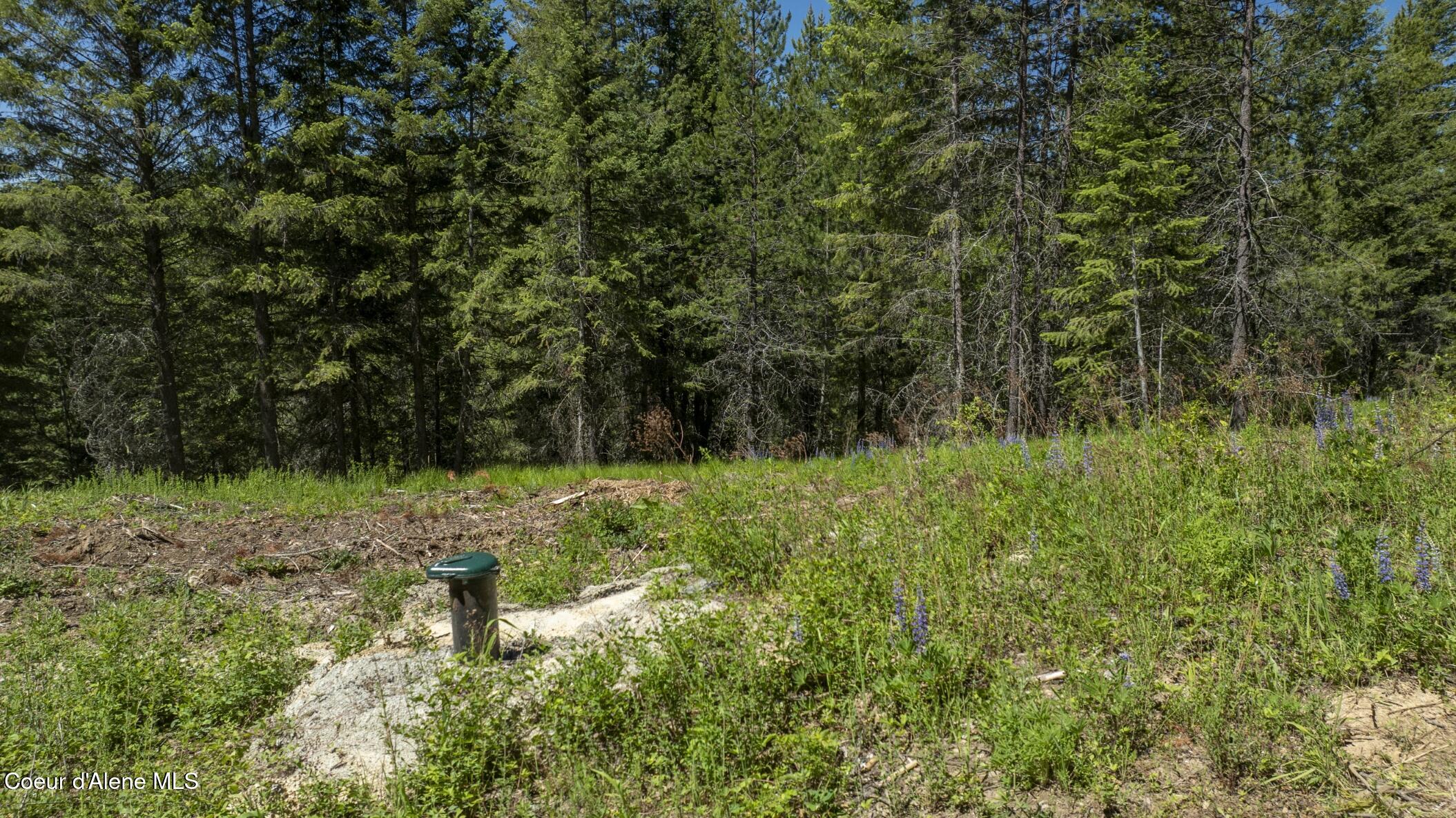 TBD Kreiger Creek Rd Lot 1, Careywood, Alaska image 9
