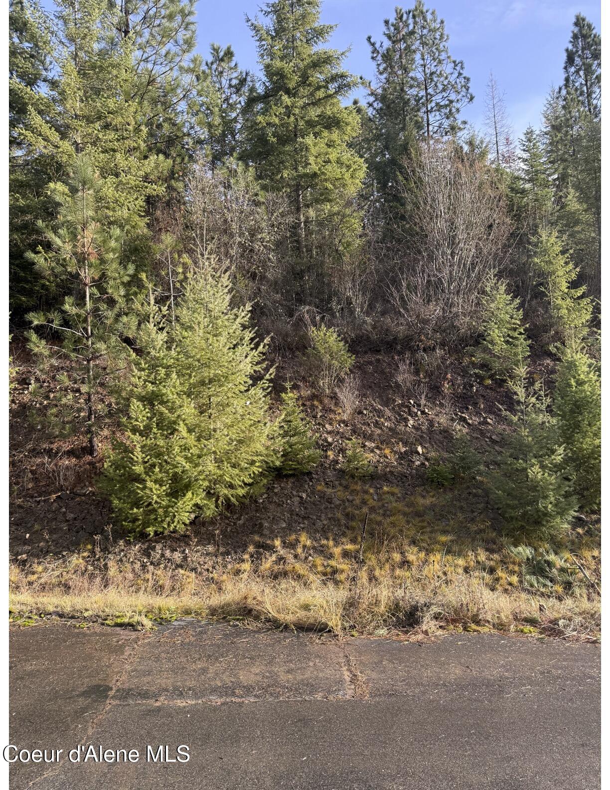 Lot 20 Flying Eagle Dr, Harrison, Idaho image 4