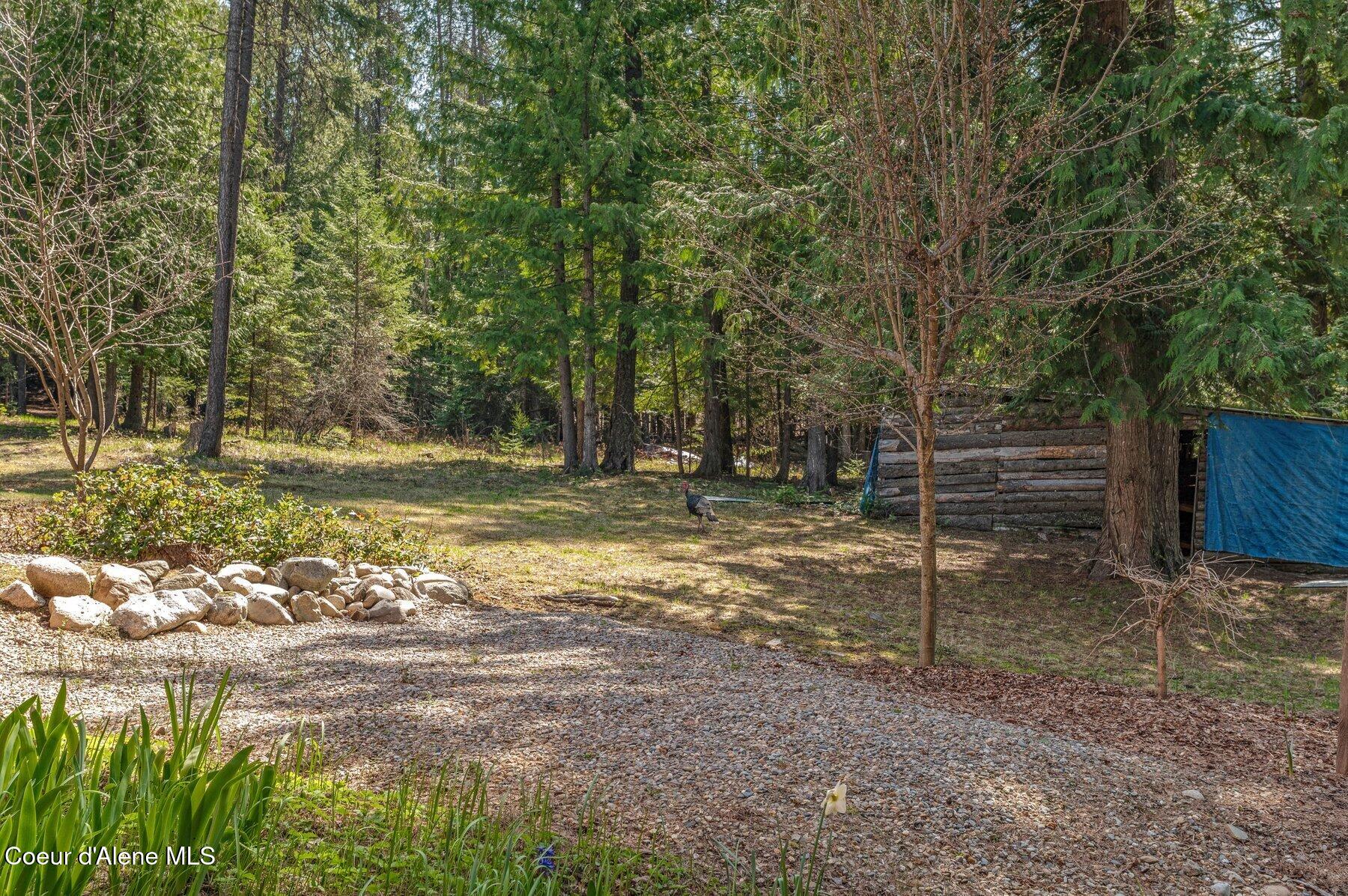 1289 Talache Rd, Sagle, Alaska image 33