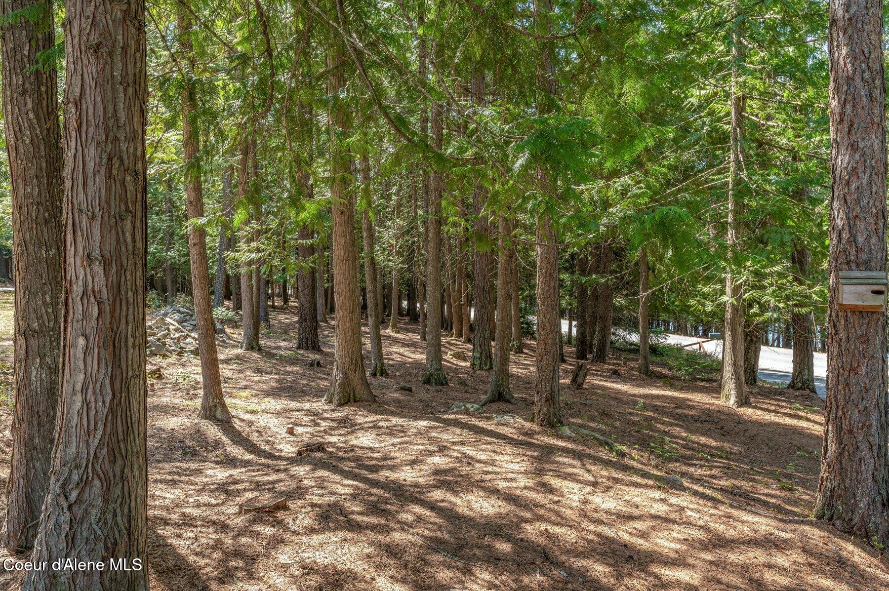 1289 Talache Rd, Sagle, Alaska image 29