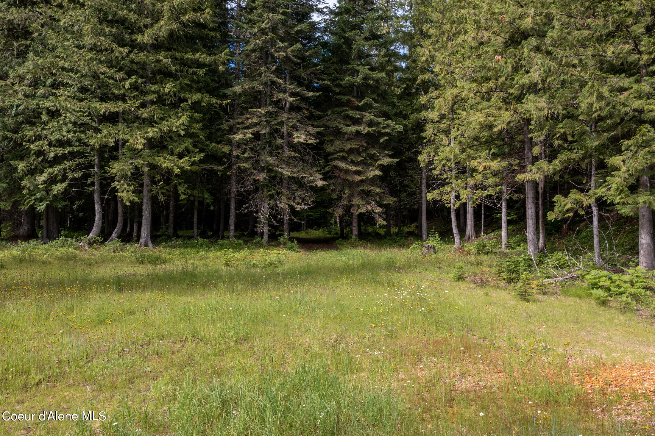 NNA Beaver Creek Rd, Wallace, Idaho image 19