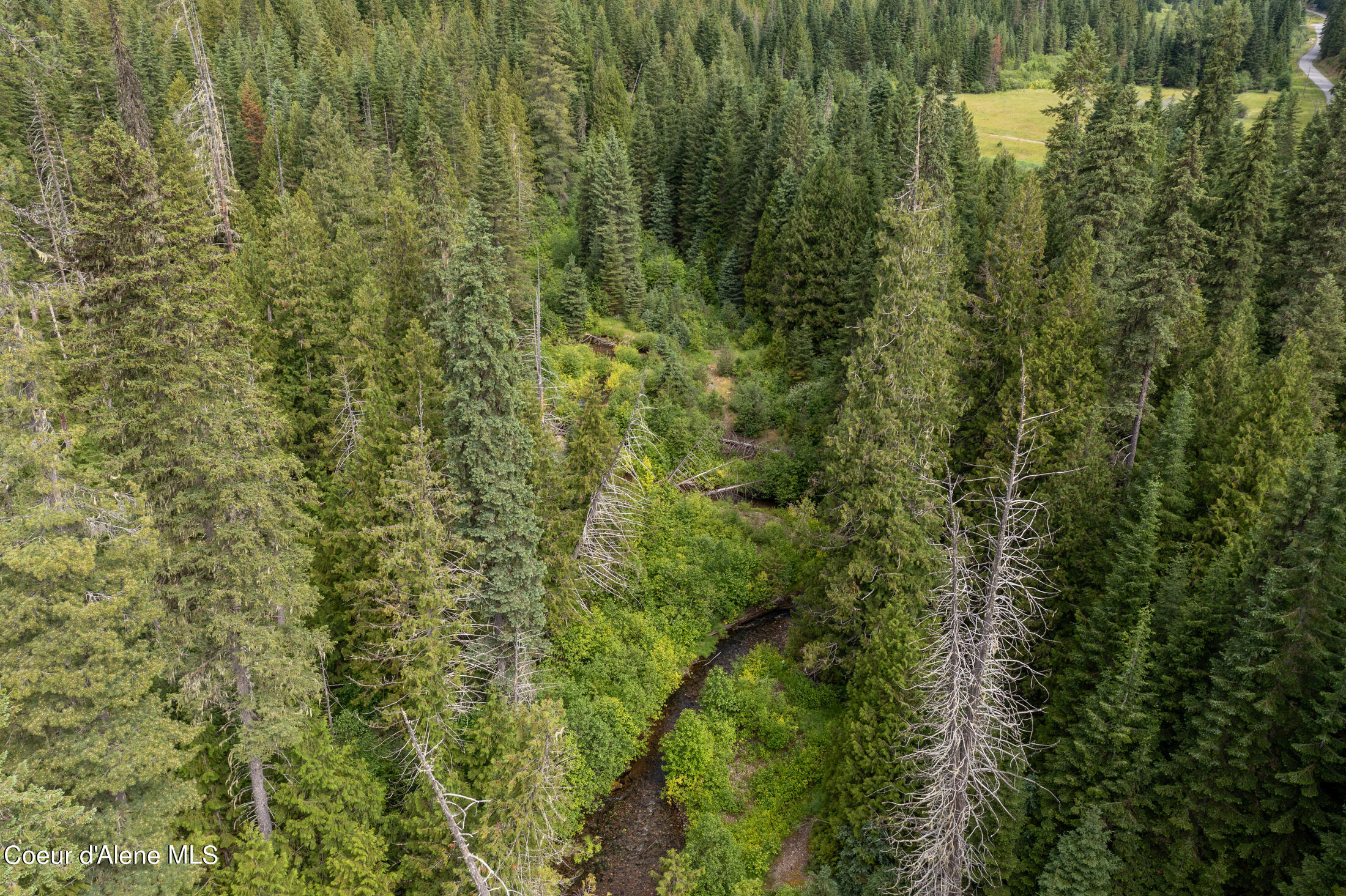 NNA Beaver Creek Rd, Wallace, Idaho image 8