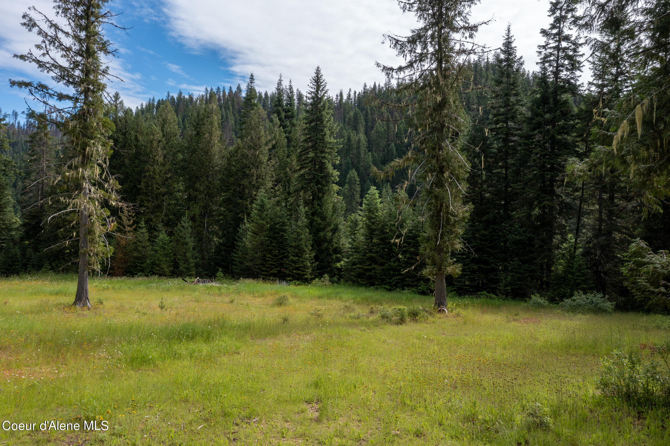 NNA Beaver Creek Rd, Wallace, Idaho image 23