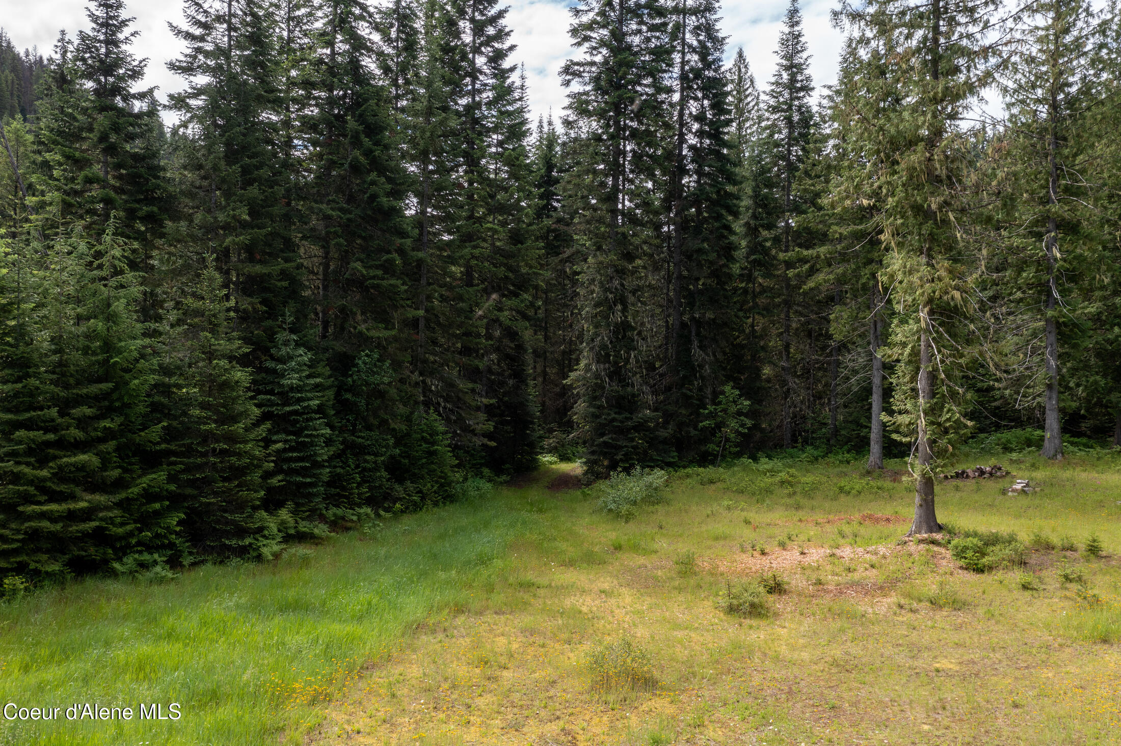 NNA Beaver Creek Rd, Wallace, Idaho image 25