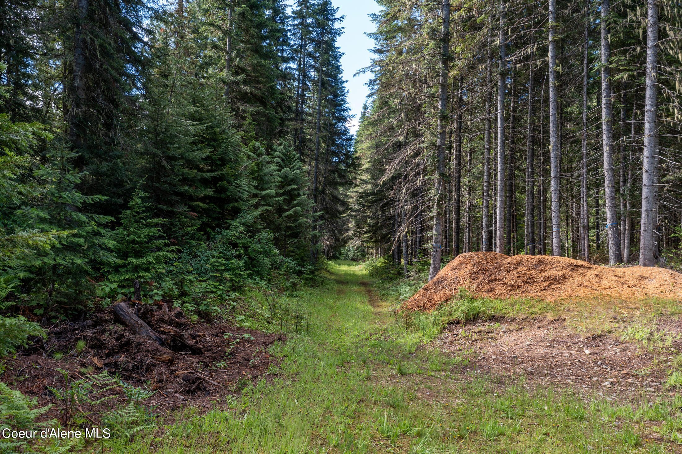 NNA Beaver Creek Rd, Wallace, Idaho image 14