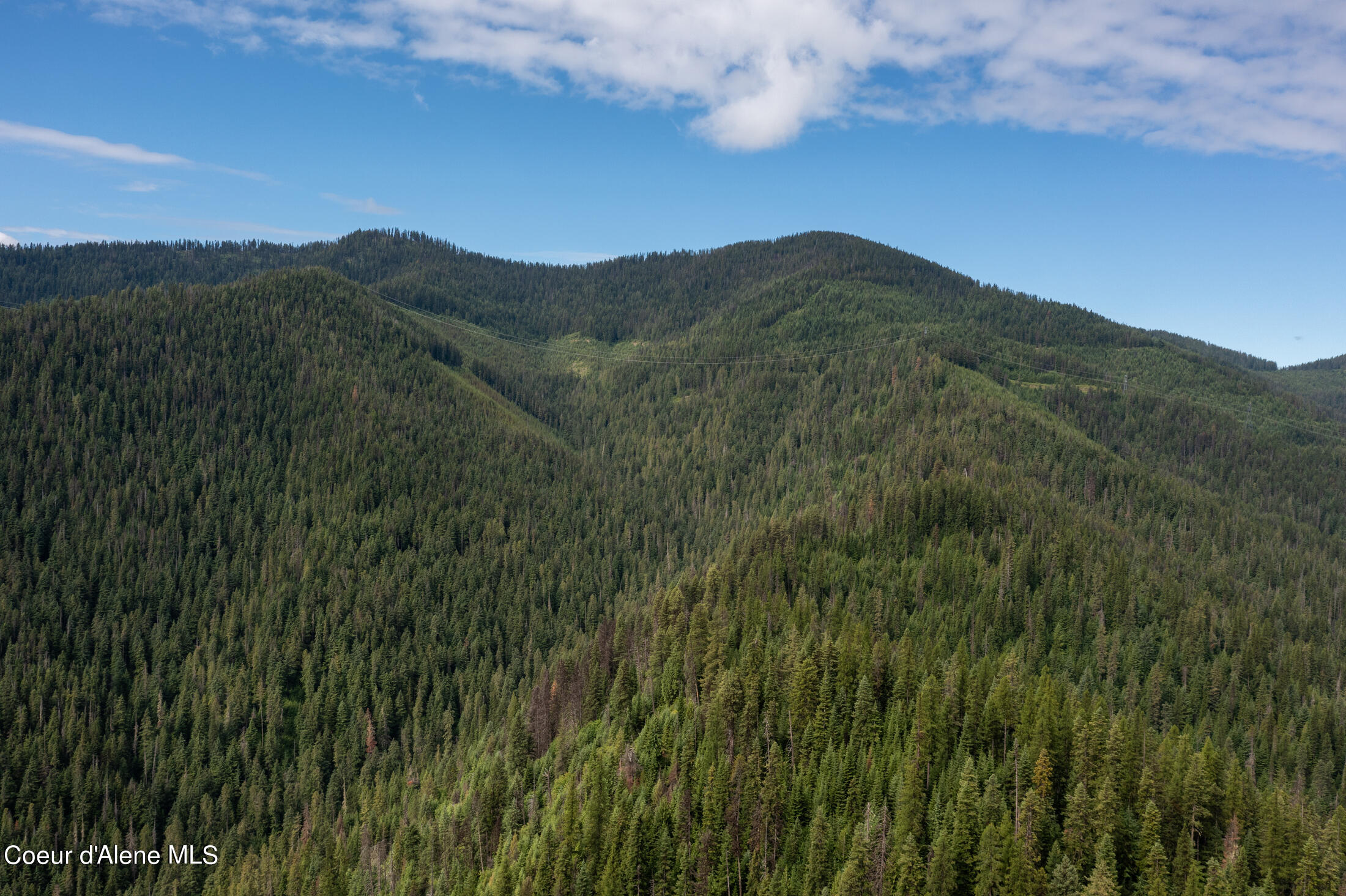 NNA Beaver Creek Rd, Wallace, Idaho image 47