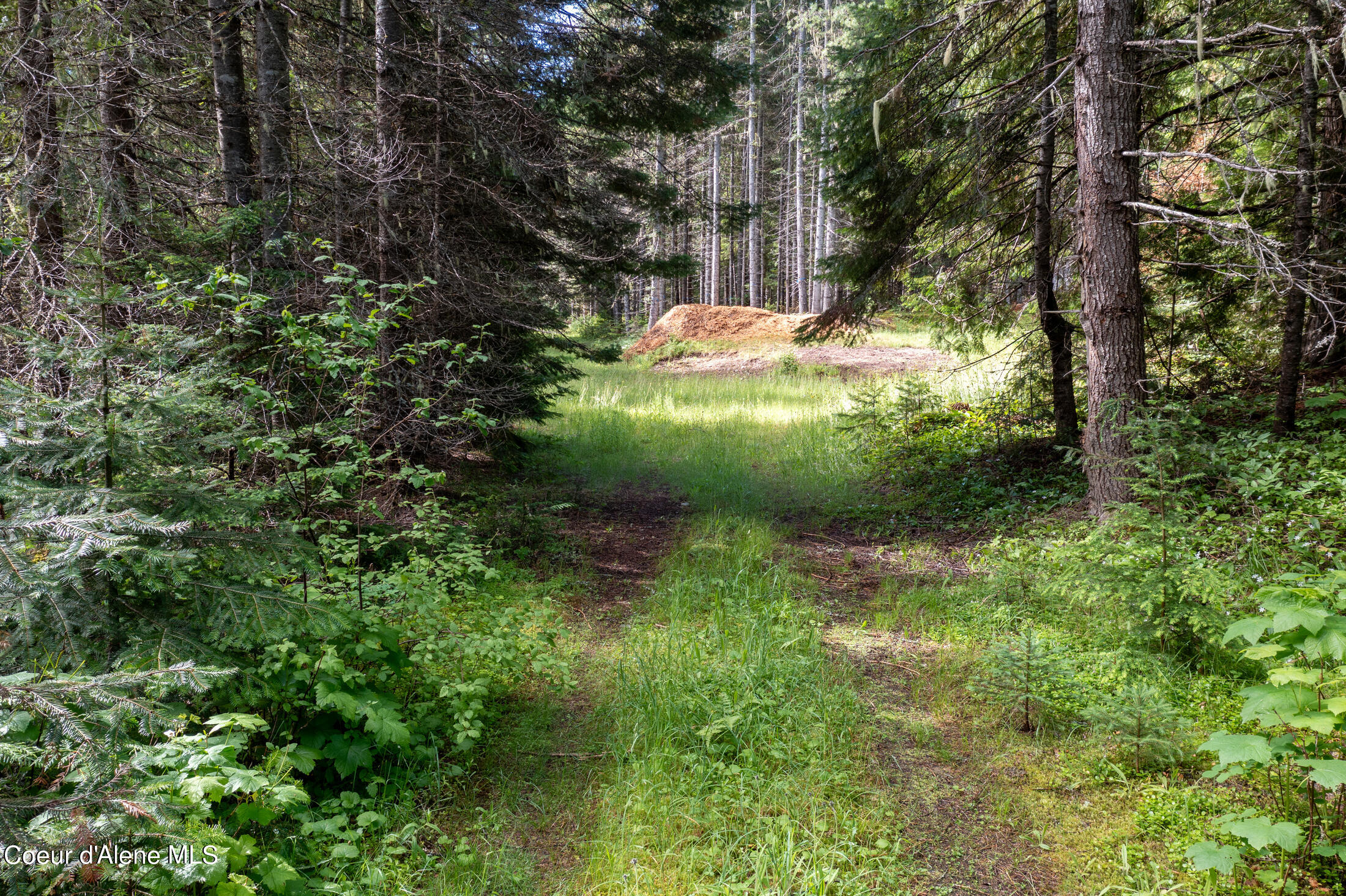 NNA Beaver Creek Rd, Wallace, Idaho image 13